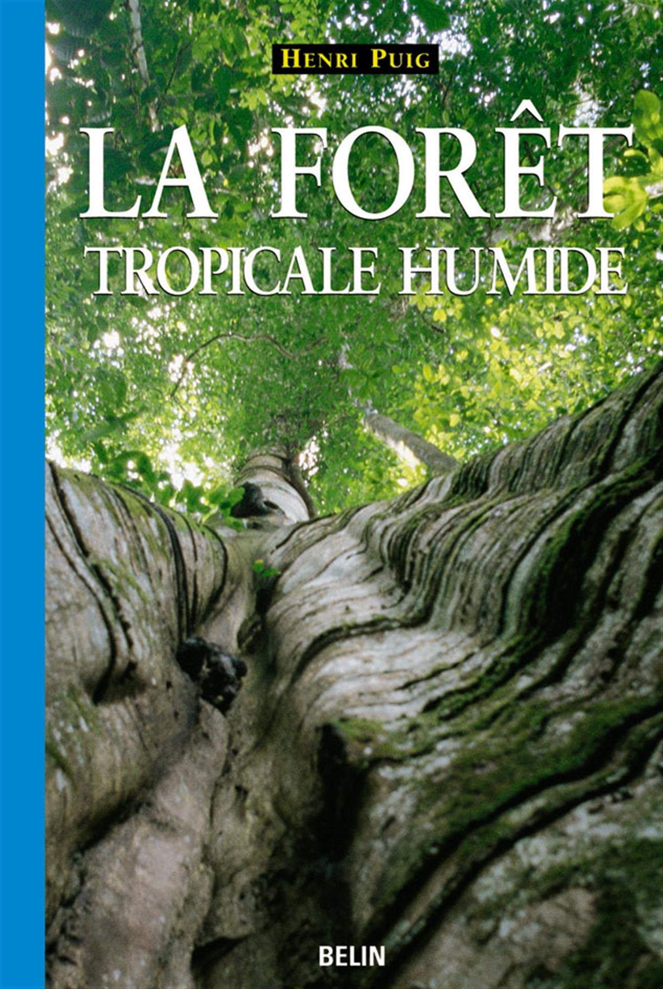 La forêt tropicale humide 9782701124469