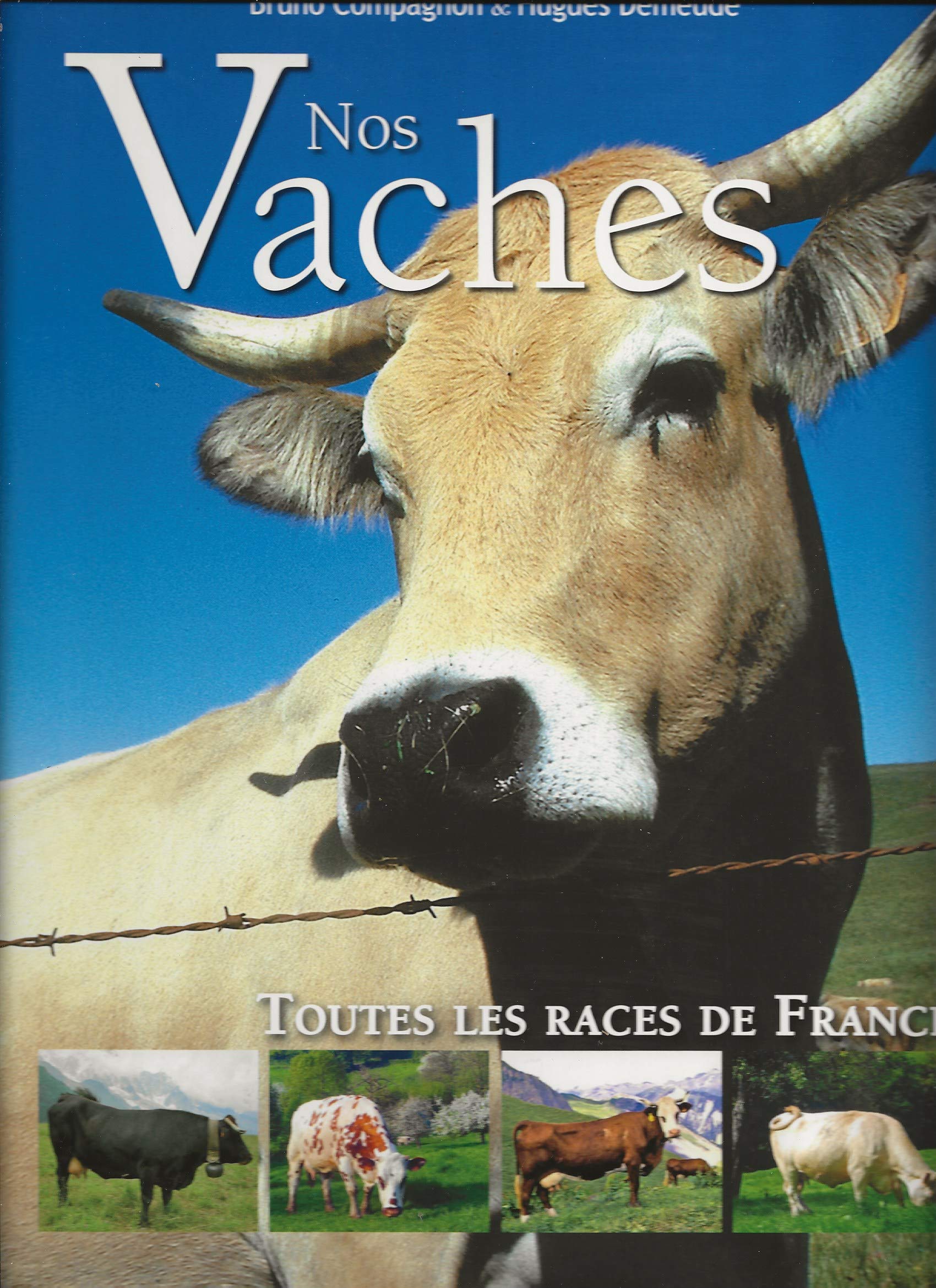 NOS VACHES 9782844946102