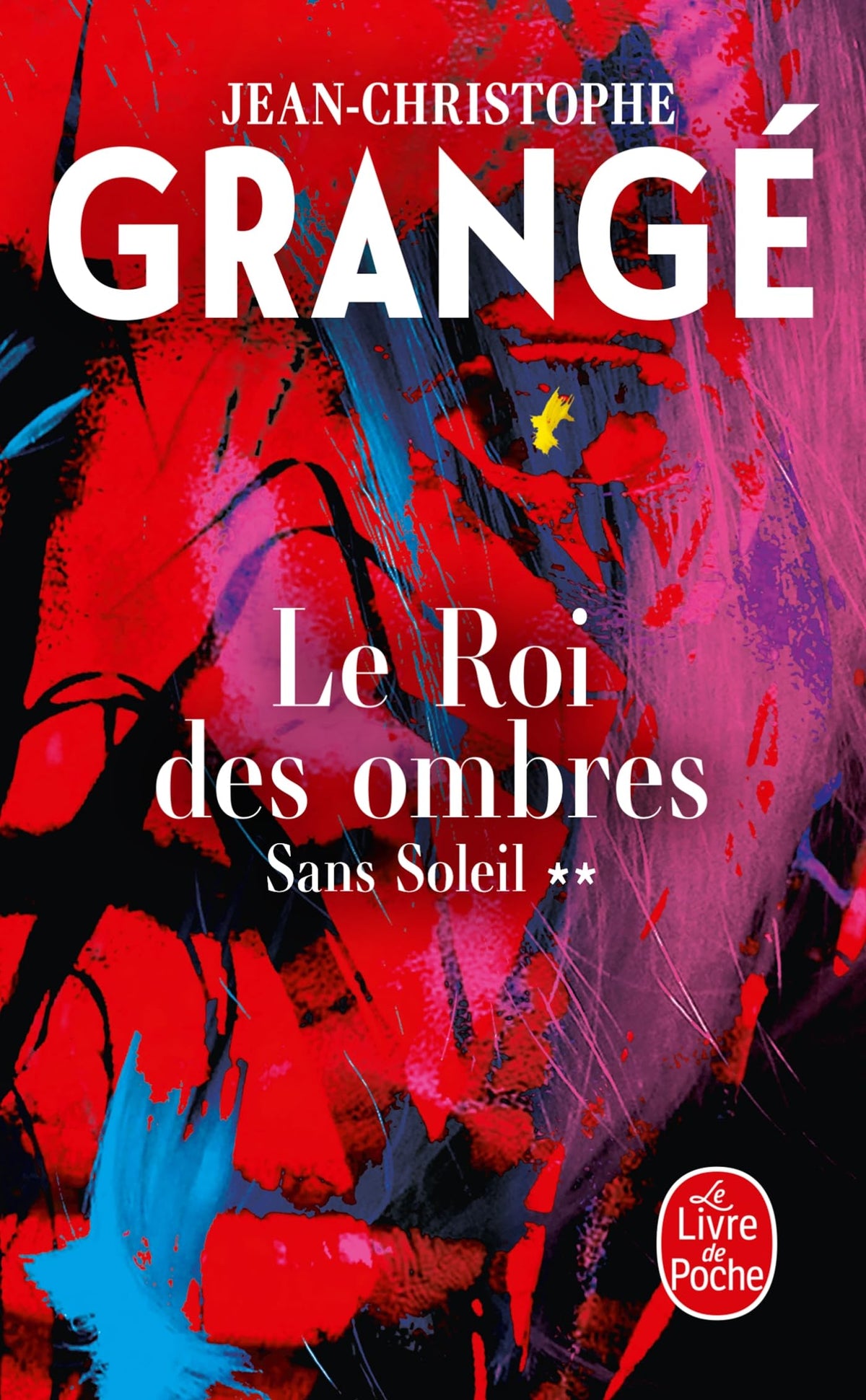 Le Roi des ombres (Sans soleil, Tome 2) 9782253254966