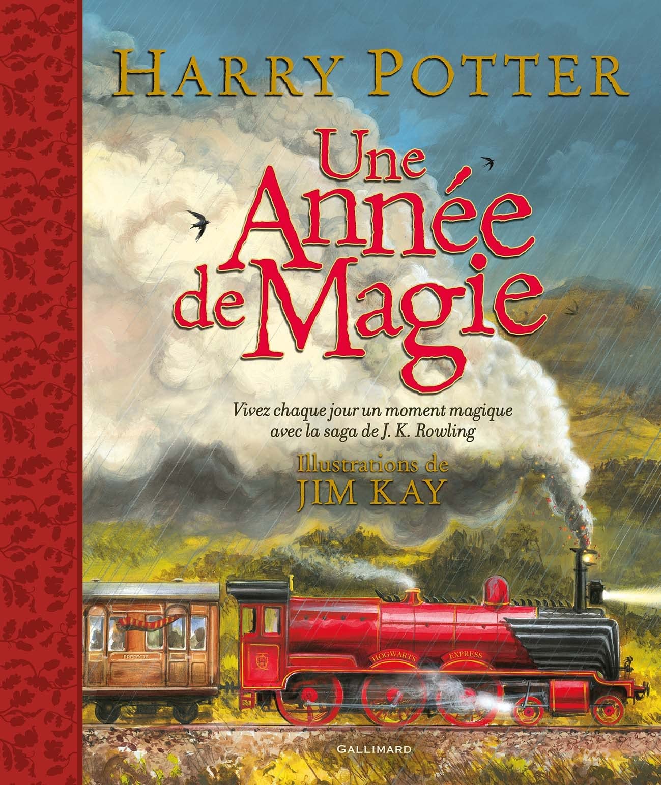 HARRY POTTER - UNE ANNEE DE MAGIE 9782075174053
