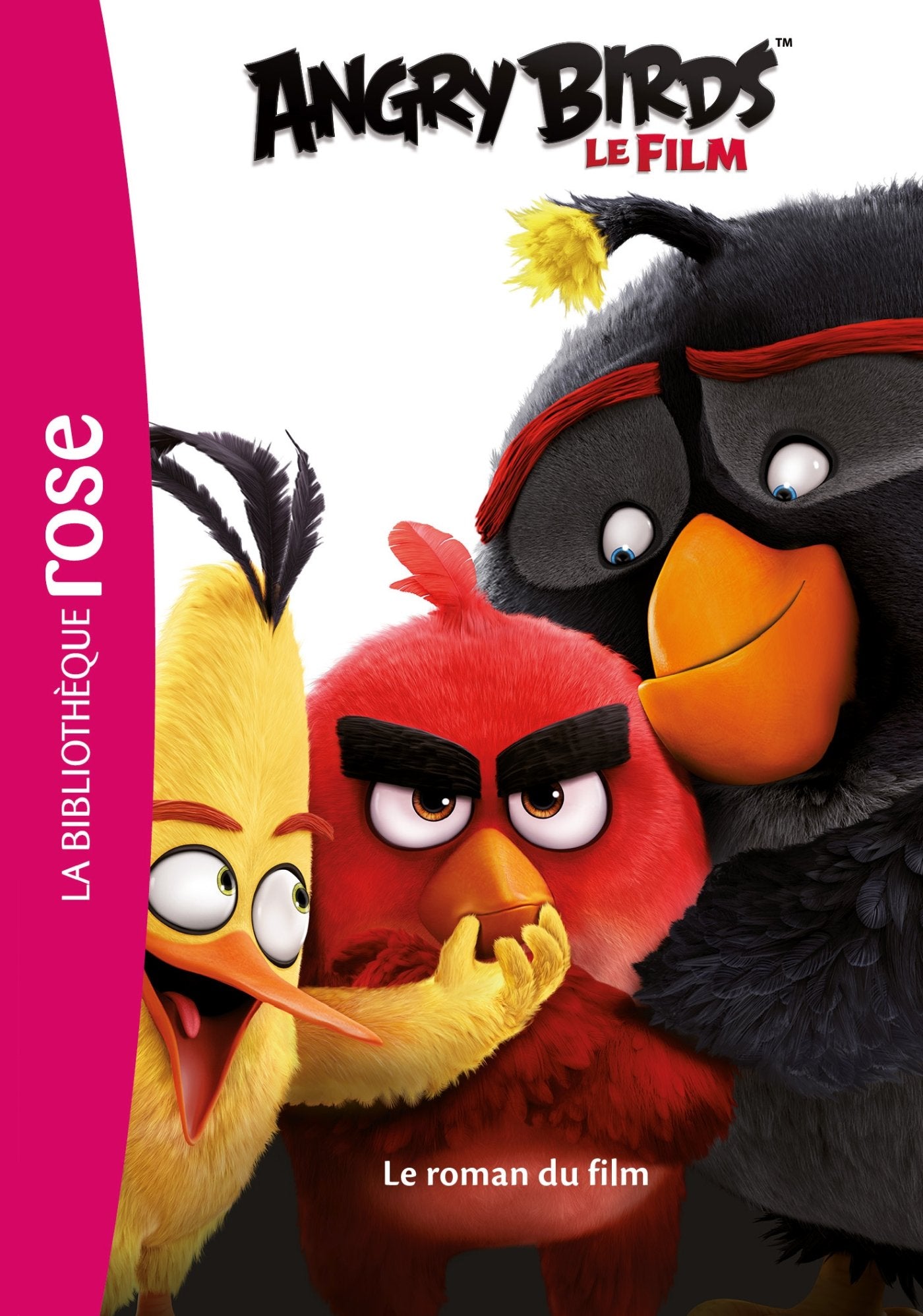 Angry Birds - le roman du film 9782011956484