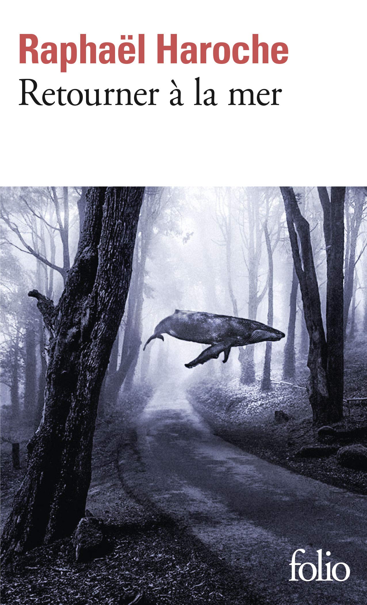 Retourner à la mer 9782072793202