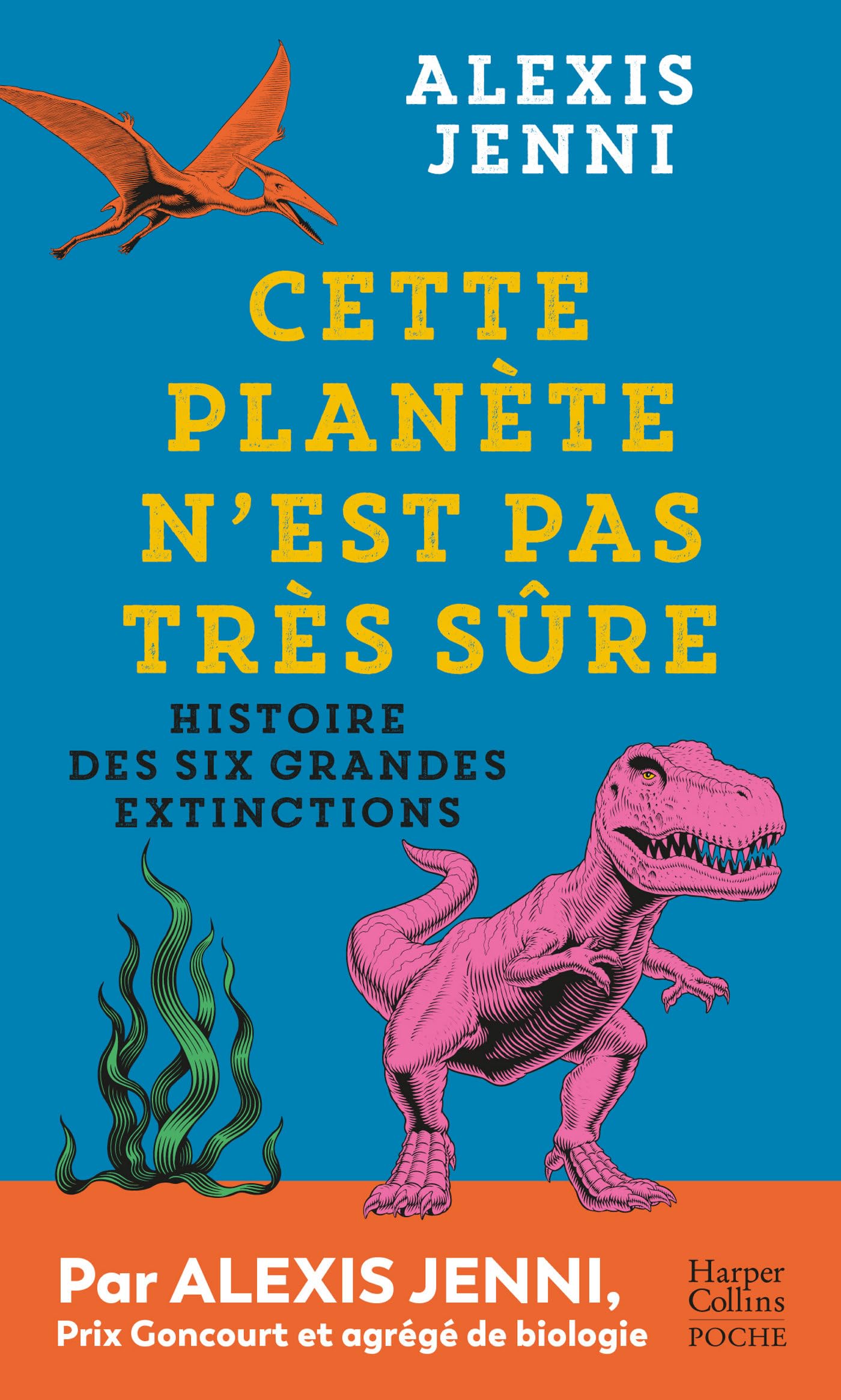 Cette planète n'est pas très sûre: Histoire des six grandes extinctions 9791033914136