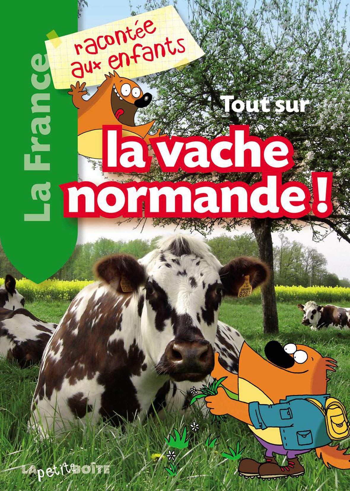 Tout sur la vache normande ! 9782361521073