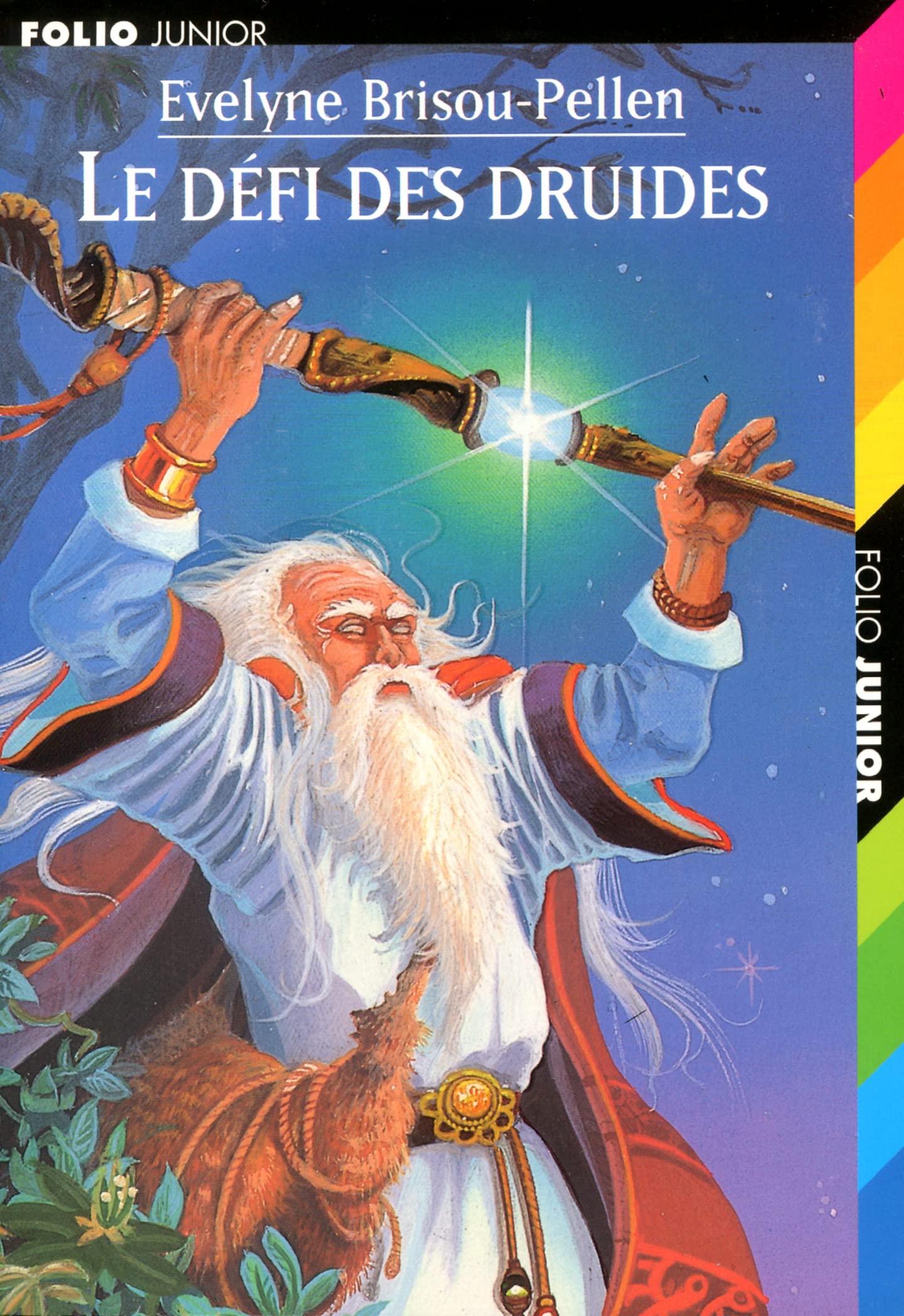 Le défi des Druides 9782070516285