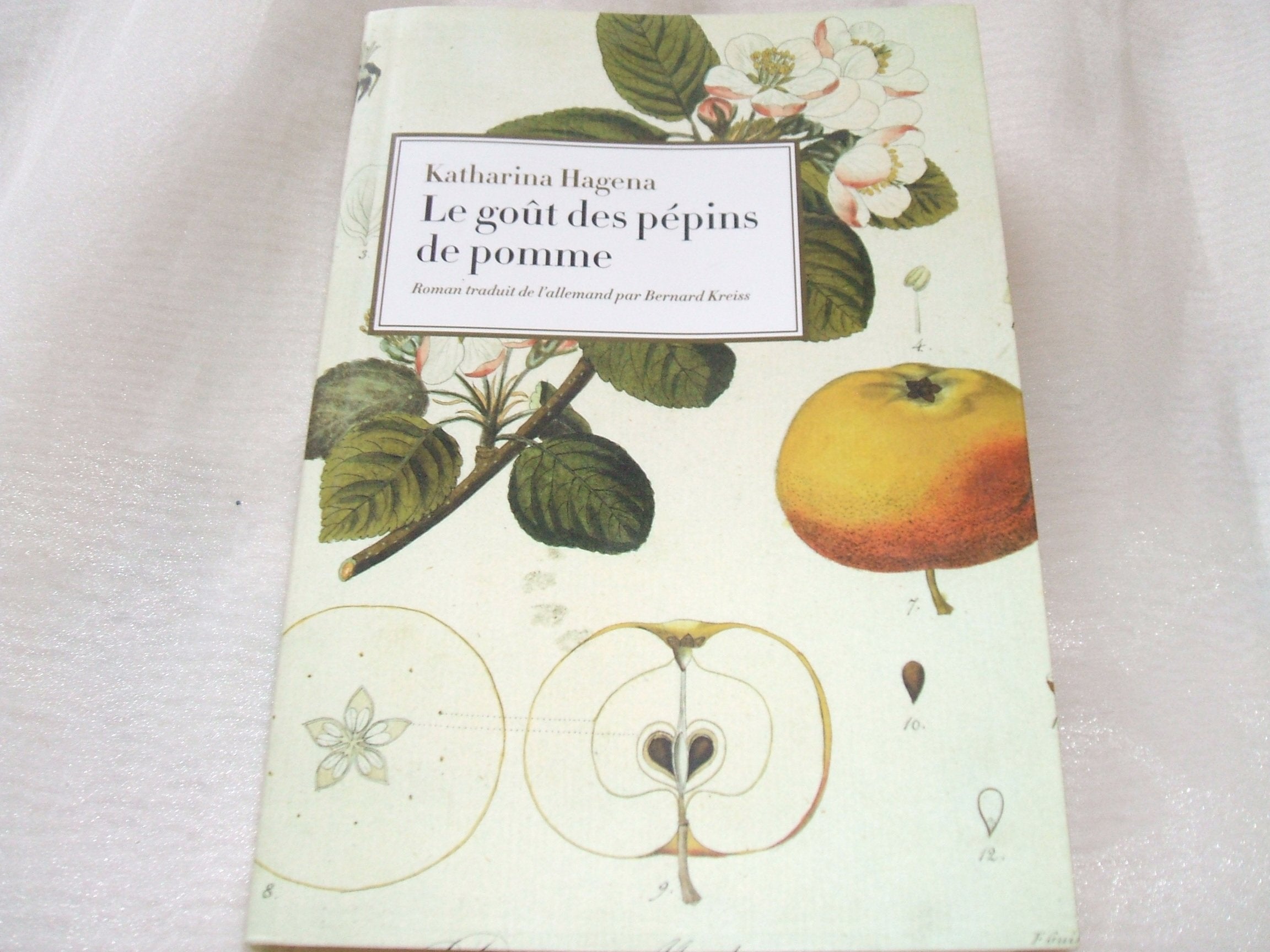 Le goût des pépins de pomme 9782298038163