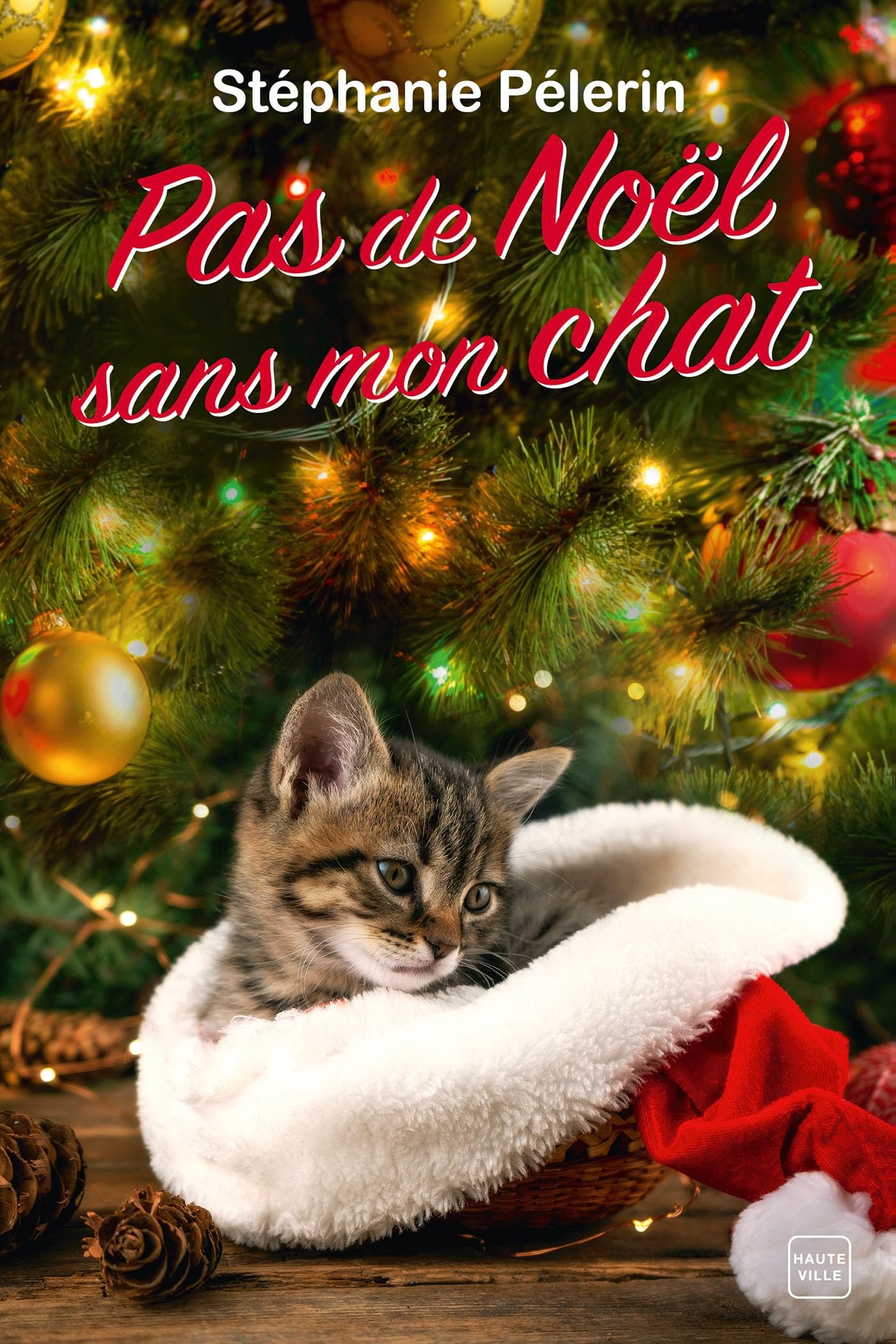 Pas de Noël sans mon chat 9782381225272