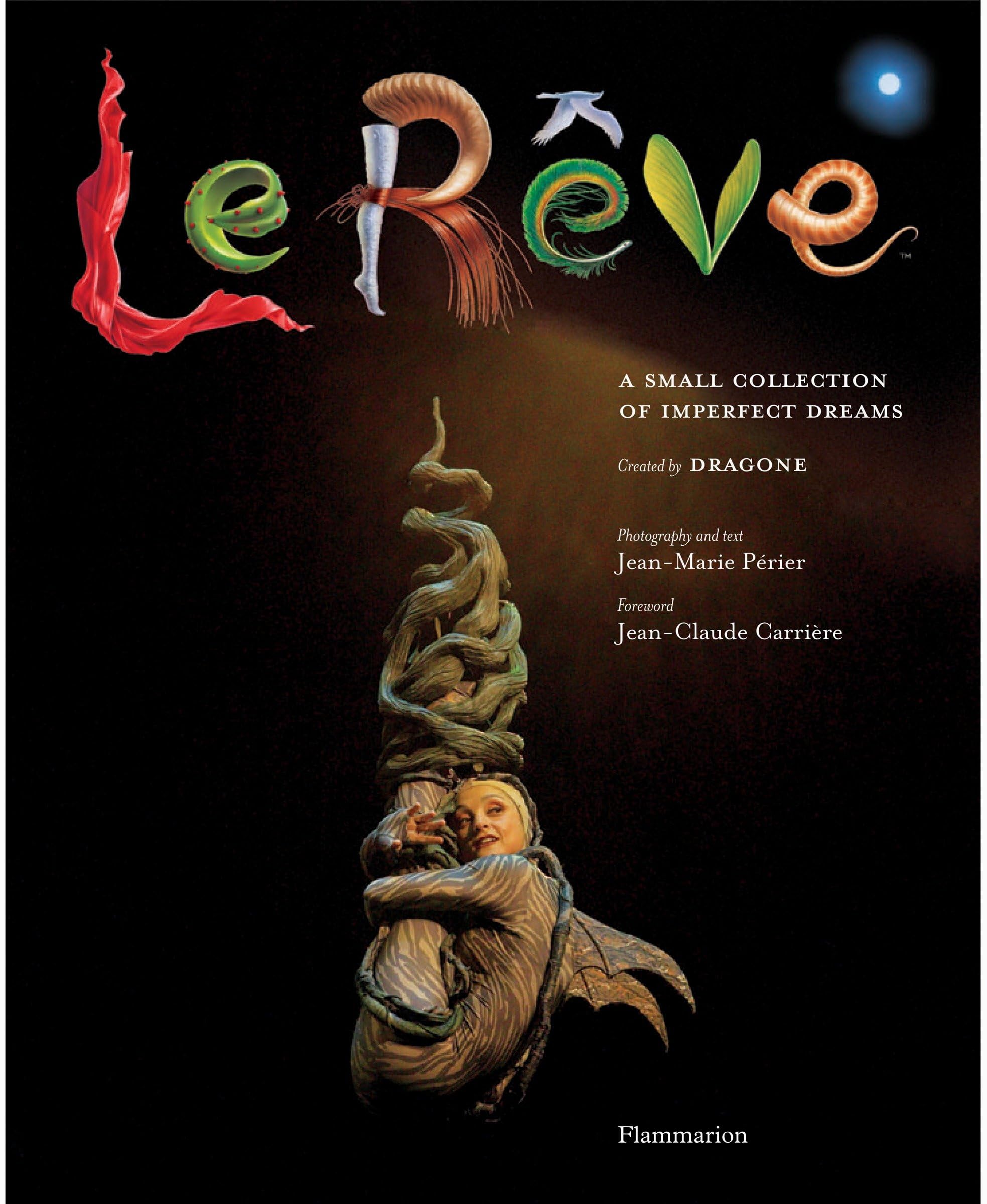 LE REVE (ANGLAIS): A SMALL COLLECTION OF IMPERFECT DREAMS 9782080305039