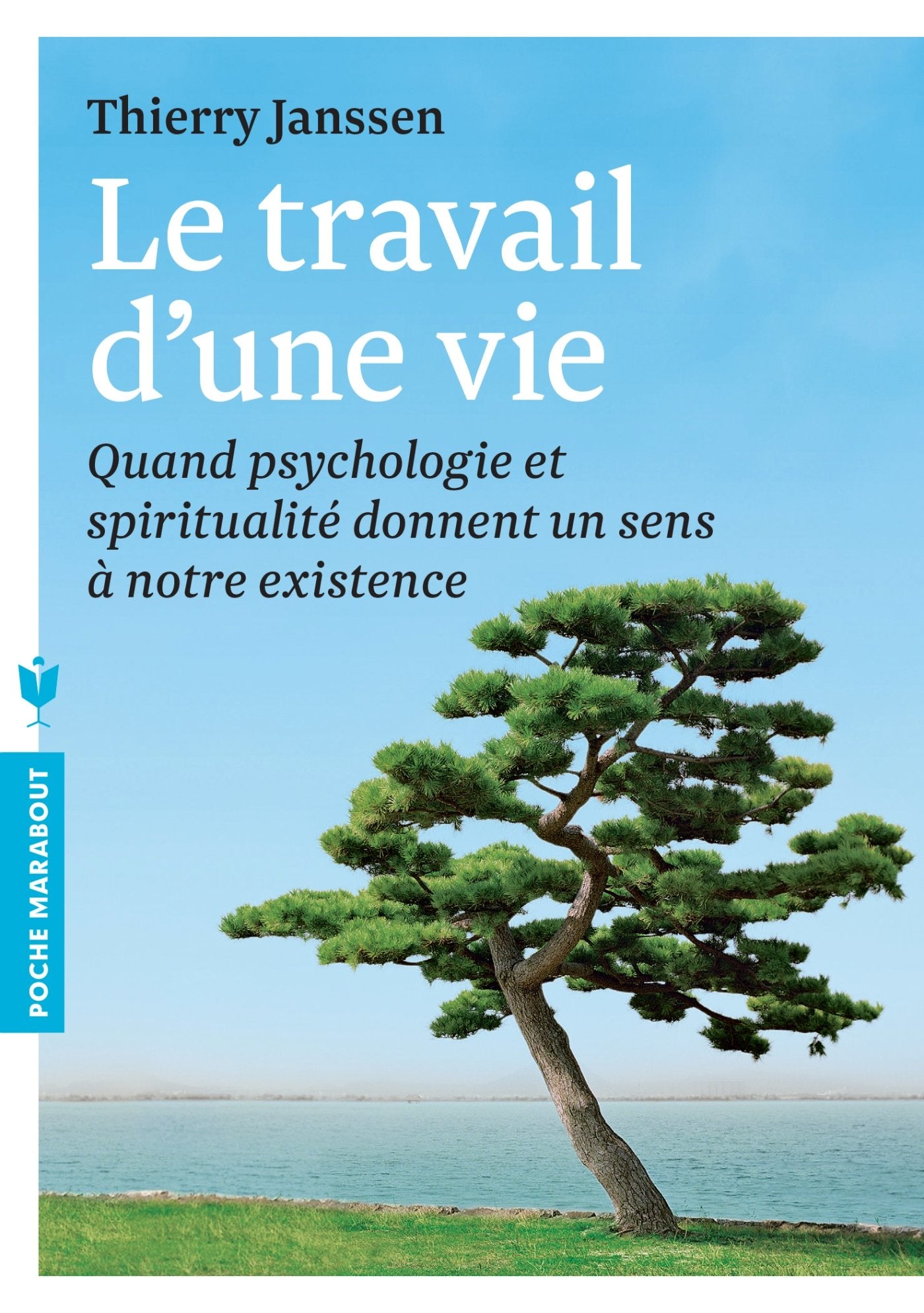 Le travail d'une vie: Quand psychologie et spiritualité donnent un sens à notre existence 9782501087698