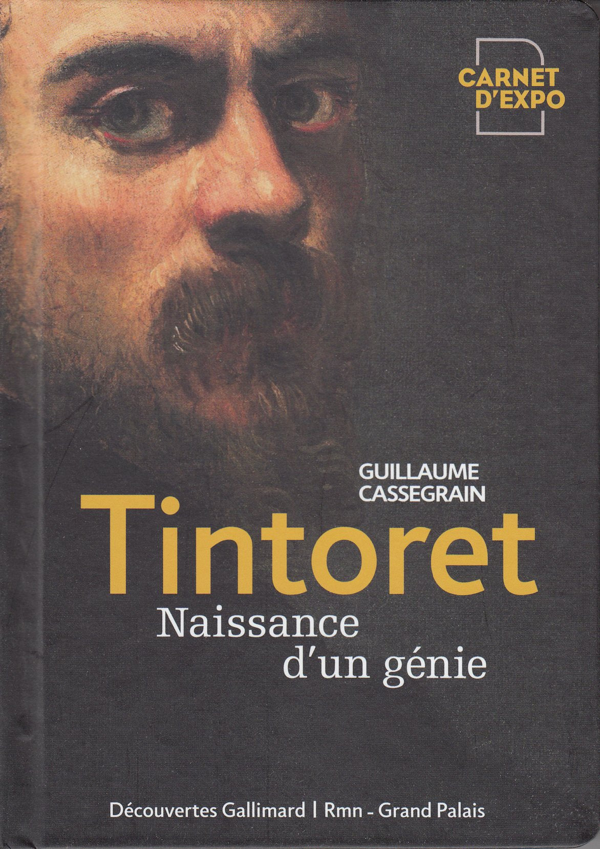 Tintoret: Naissance d'un génie 9782072781575