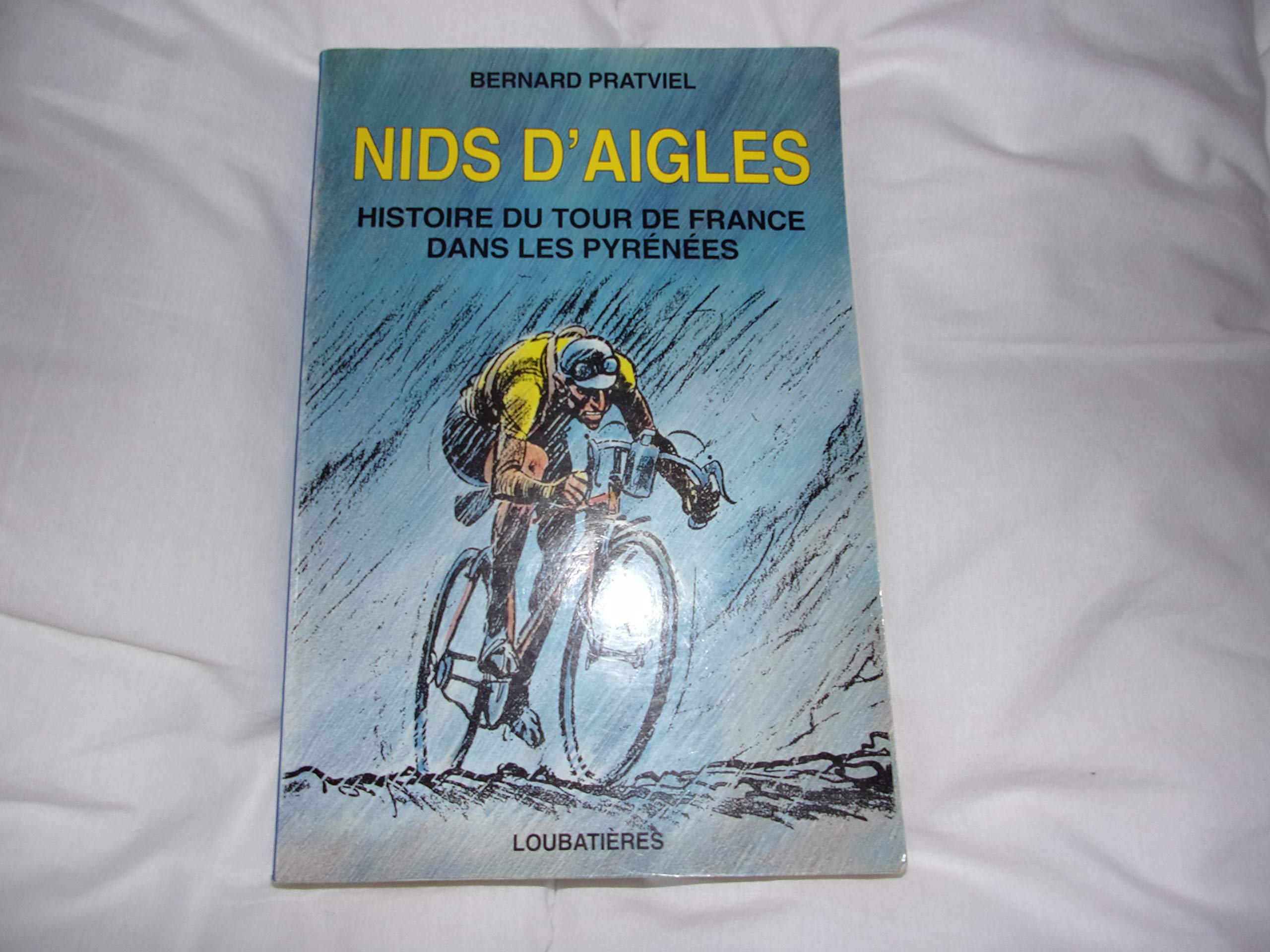 Nids d'aigles 9782862661940