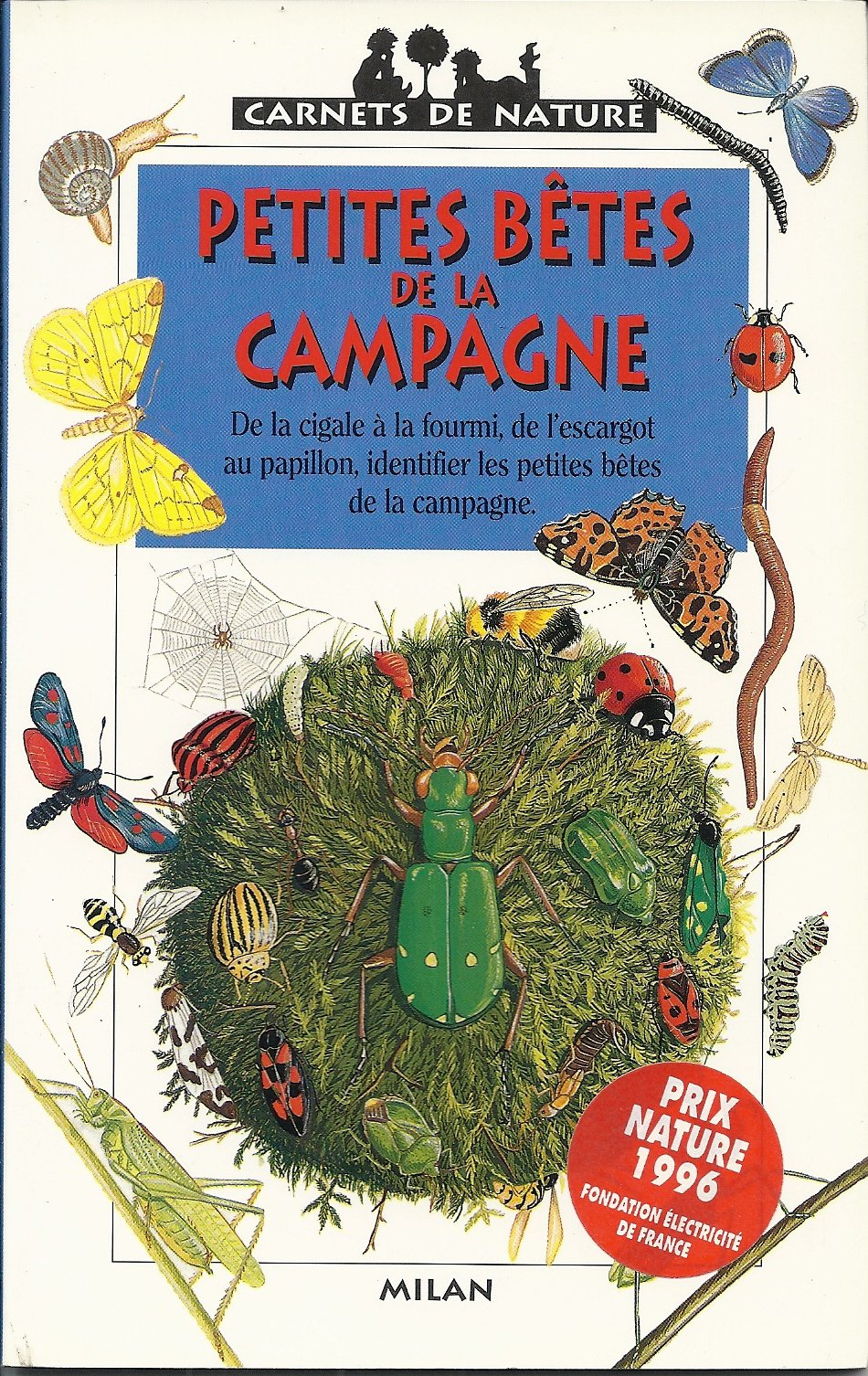 Petites bêtes de la campagne 9782841131457