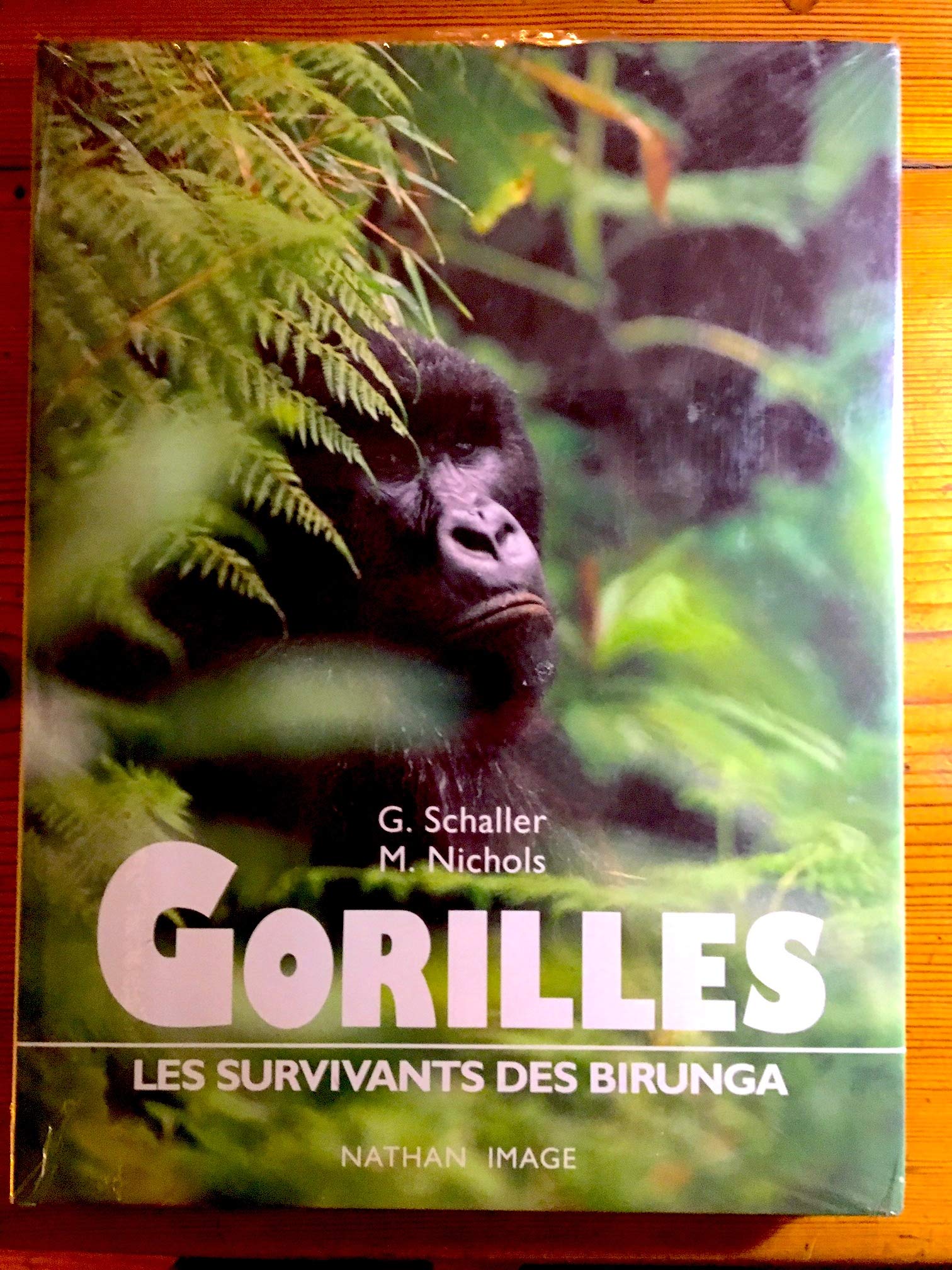 Gorilles : les survivants des birunga 9782092400104