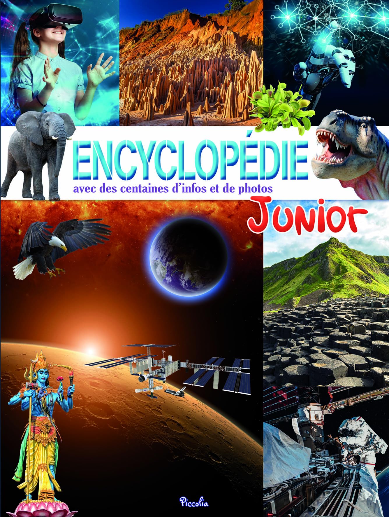 Encyclopédie junior 9782753069848