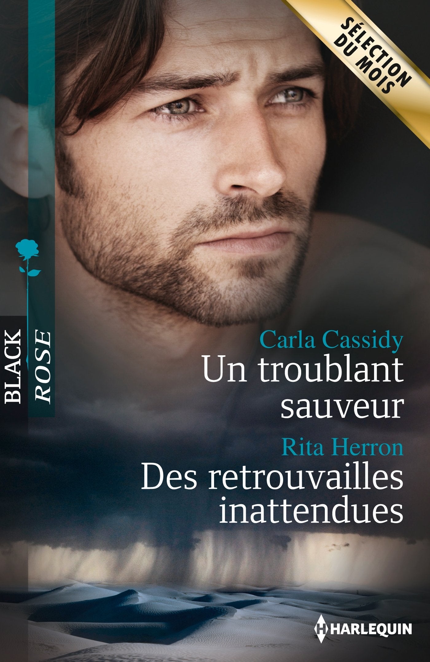 Un troublant sauveur ; Des retrouvailles inattendues 9782280280877