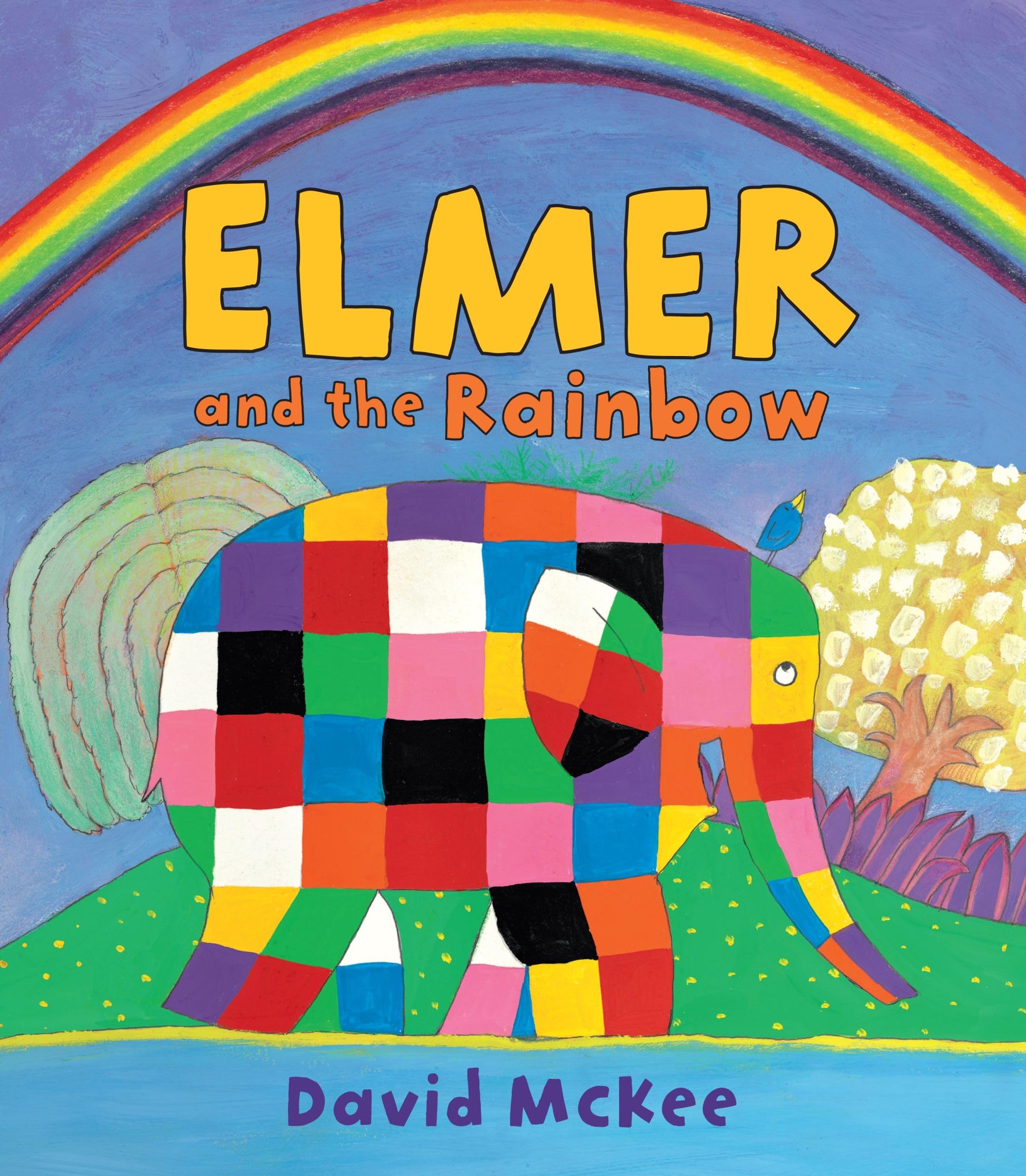 Elmer and the Rainbow 9780761374107