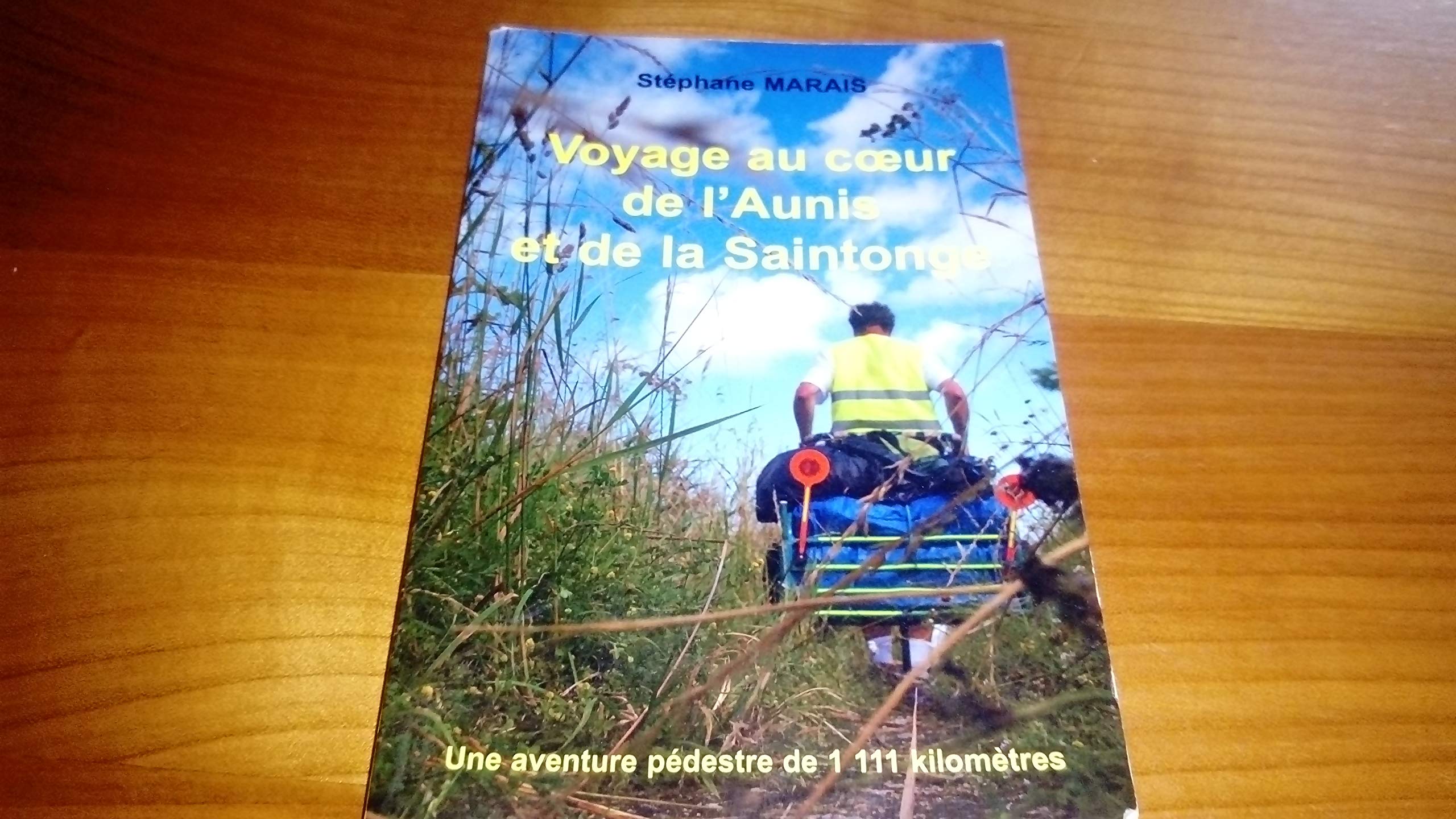 Voyage au coeur de l'Aunis et de la Saintonge 9782952262859