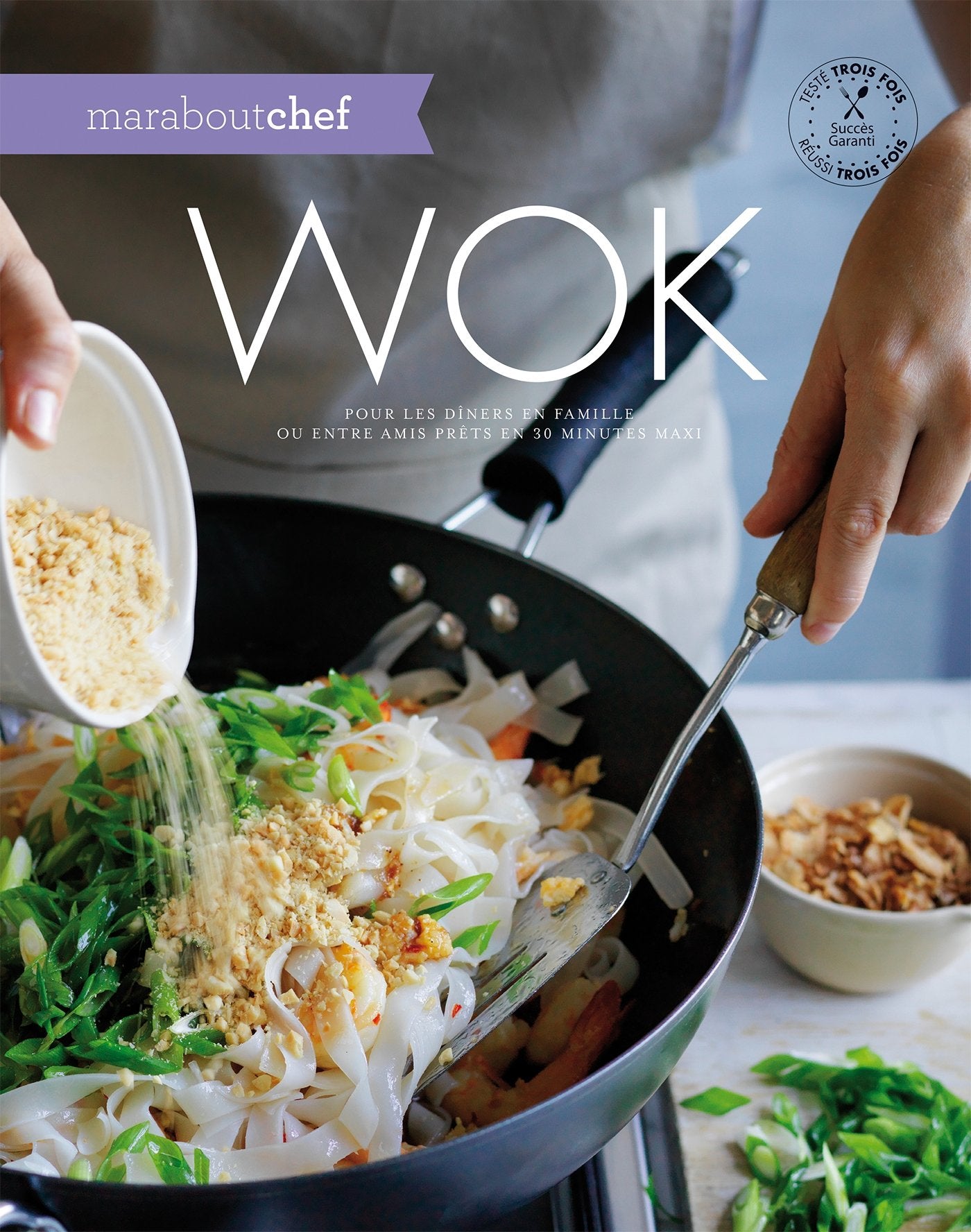 Spécial Wok 9782501069731