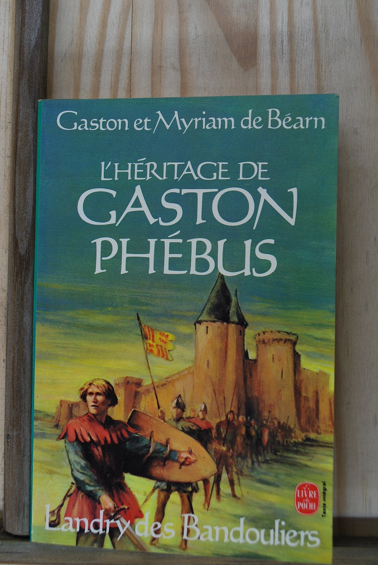 L'héritage de Gaston Phébus 9782253026235