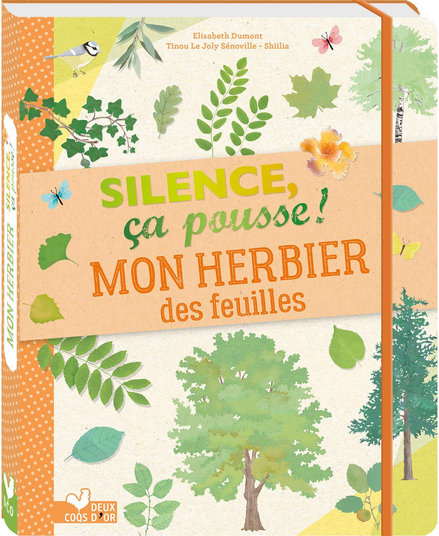 Silence ça pousse Mon herbier 9782017866565