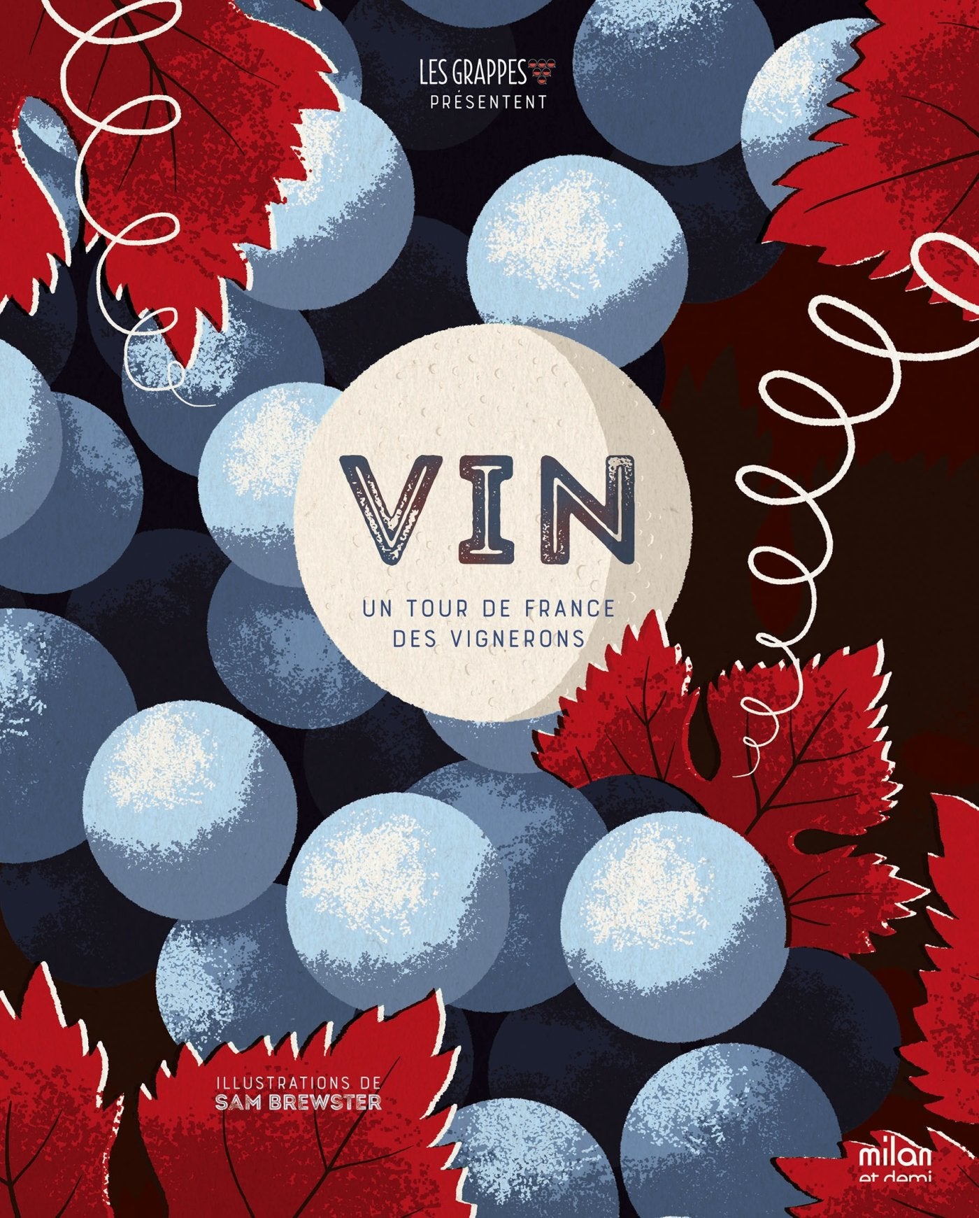 Vin: Un tour de France des vignerons 9782745982056