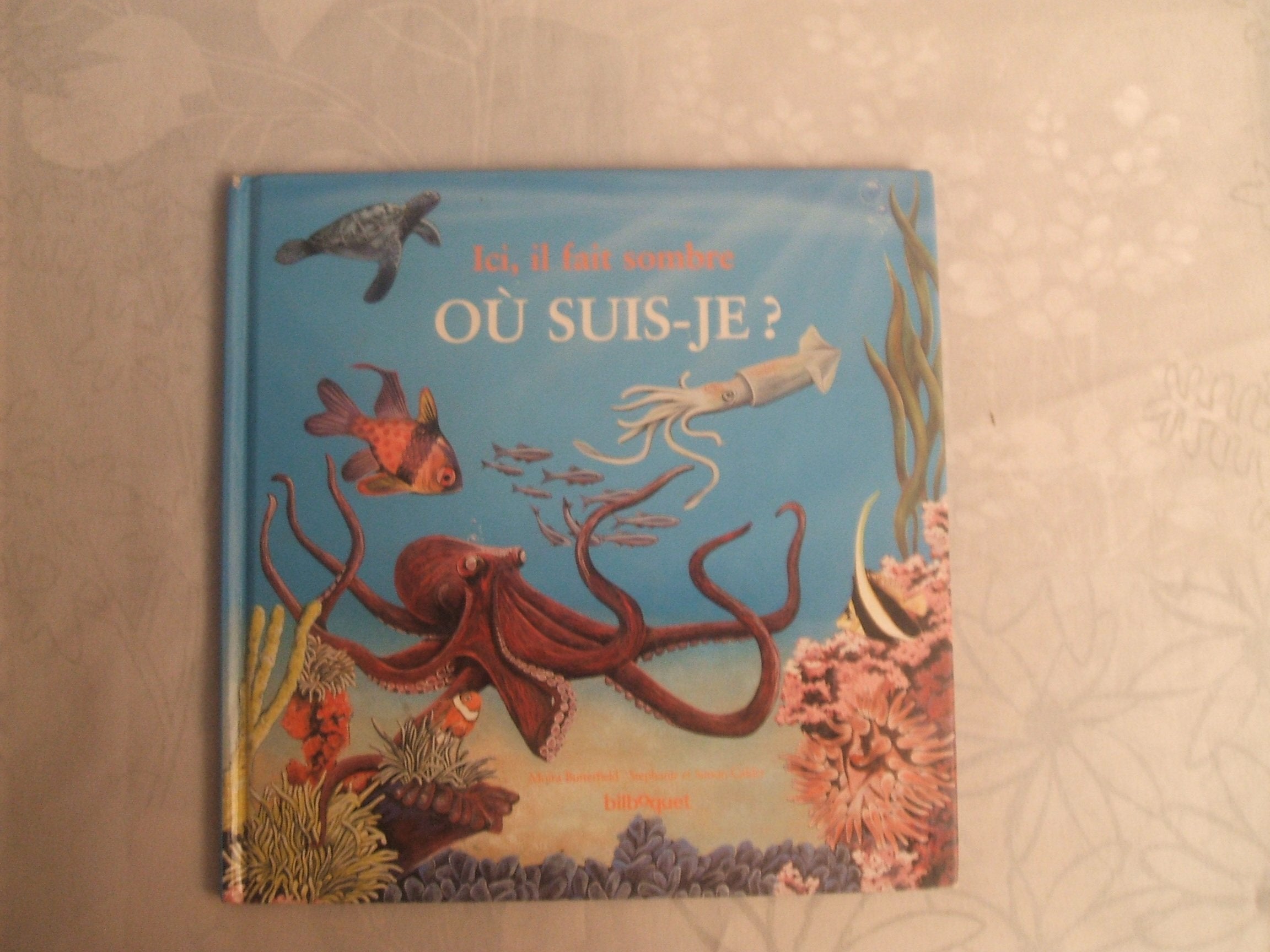 Ici, Il Fait Sombre. L'Ocean 9782841811137