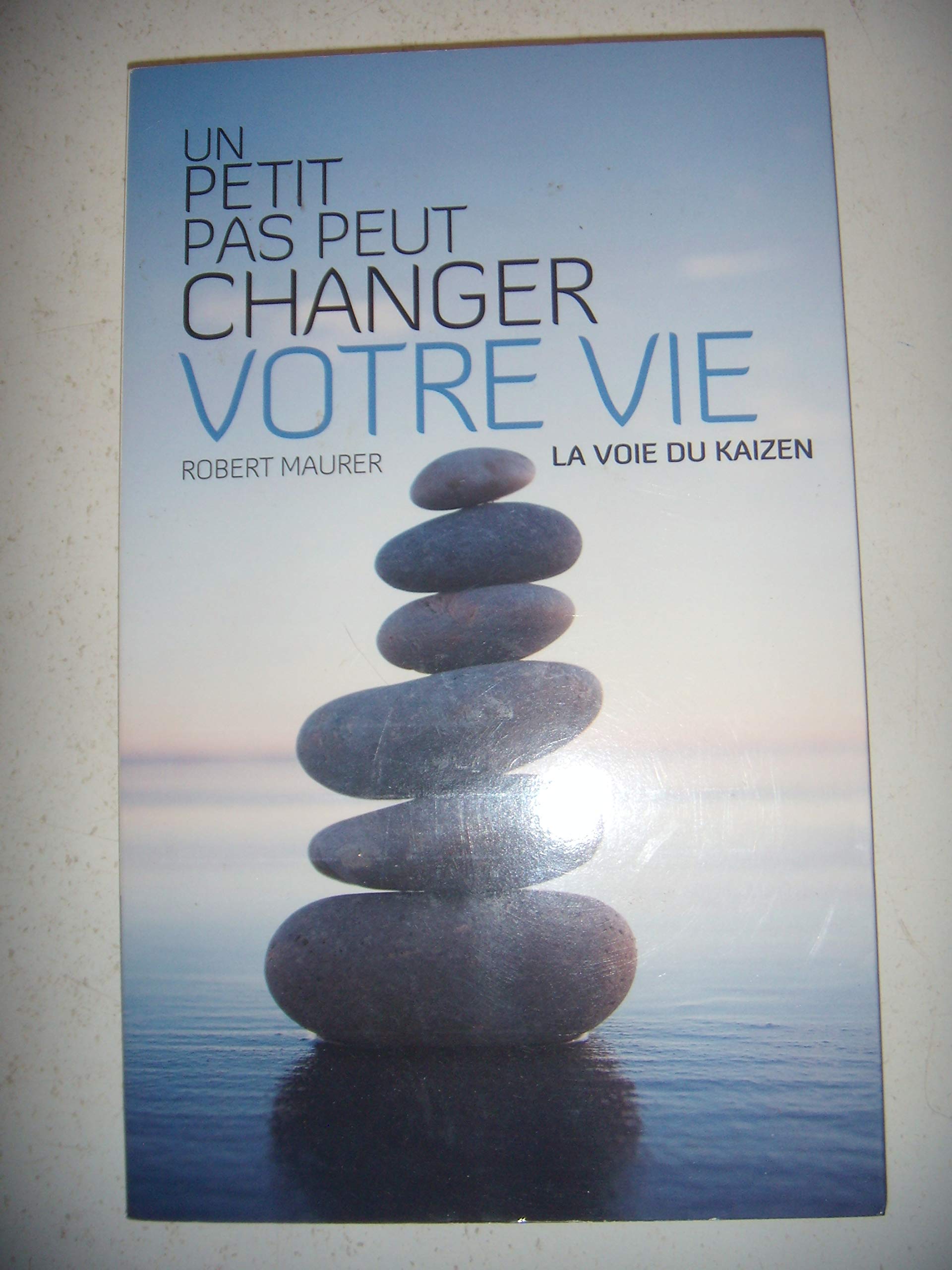 un petit pas peut changer votre vie - la voie du kaizen 9782298012316