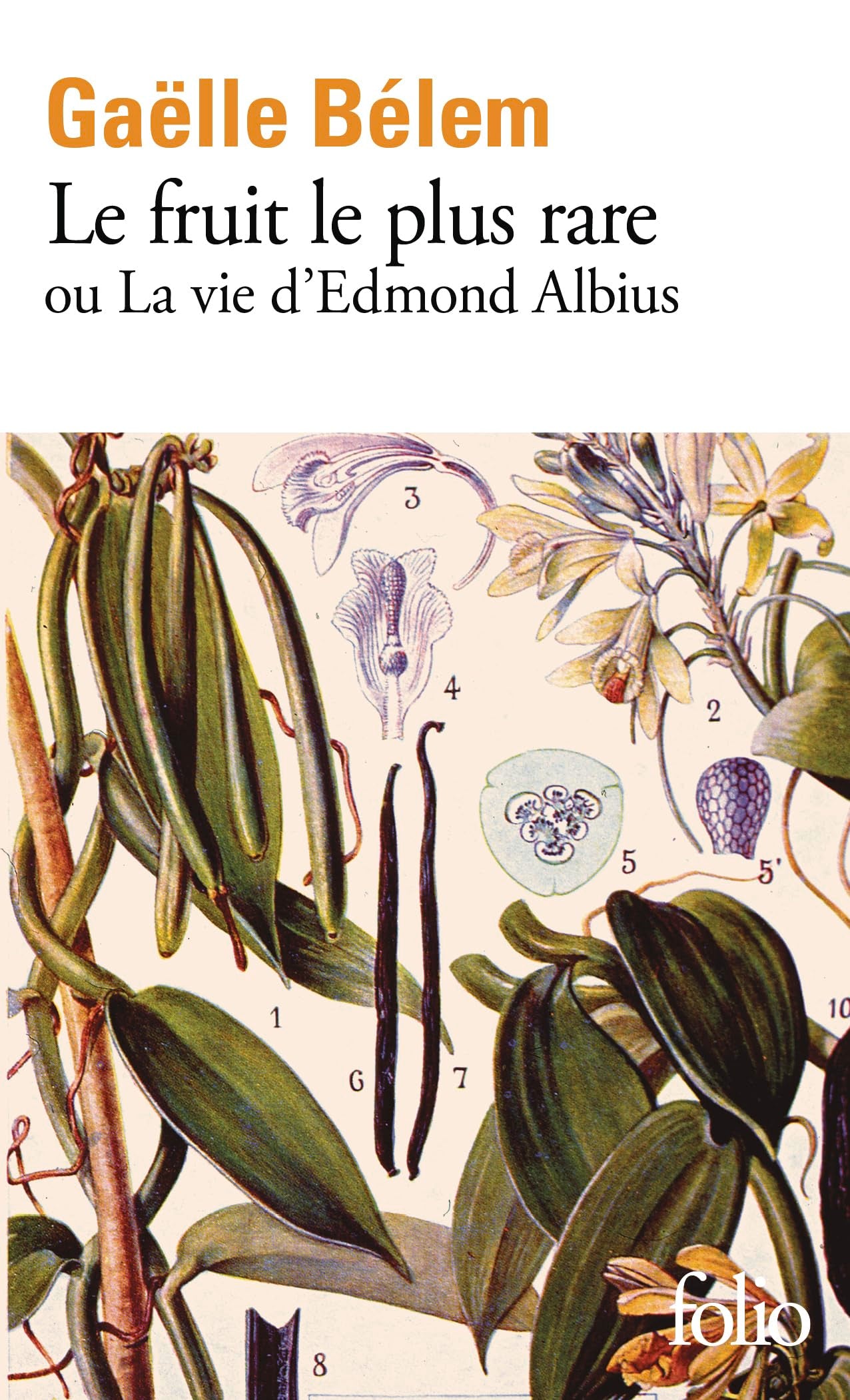 Le fruit le plus rare ou la vie d'Edmond Albius 9782073095558