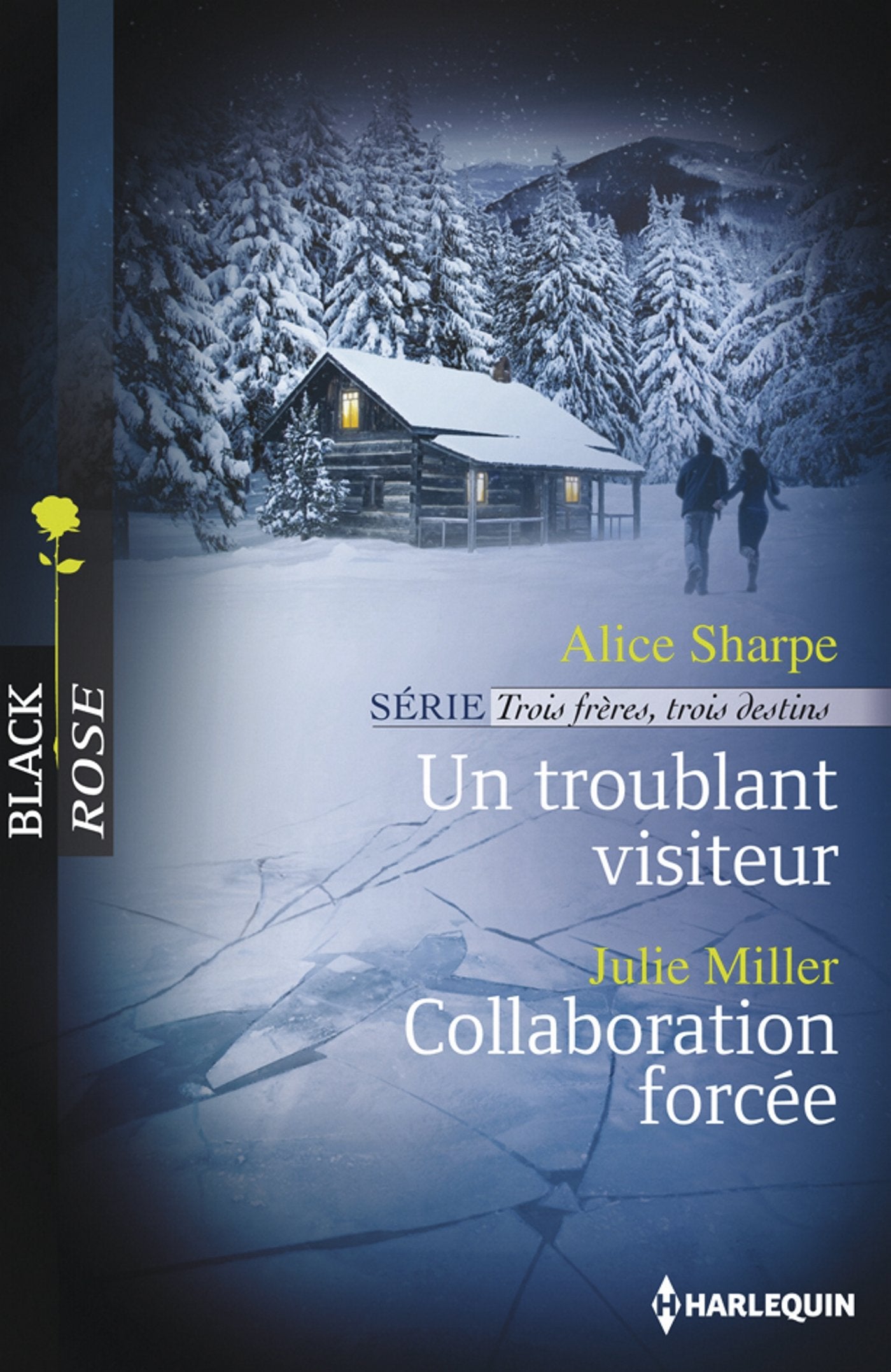 Un troublant visiteur ; Collaboration forcée 9782280280815