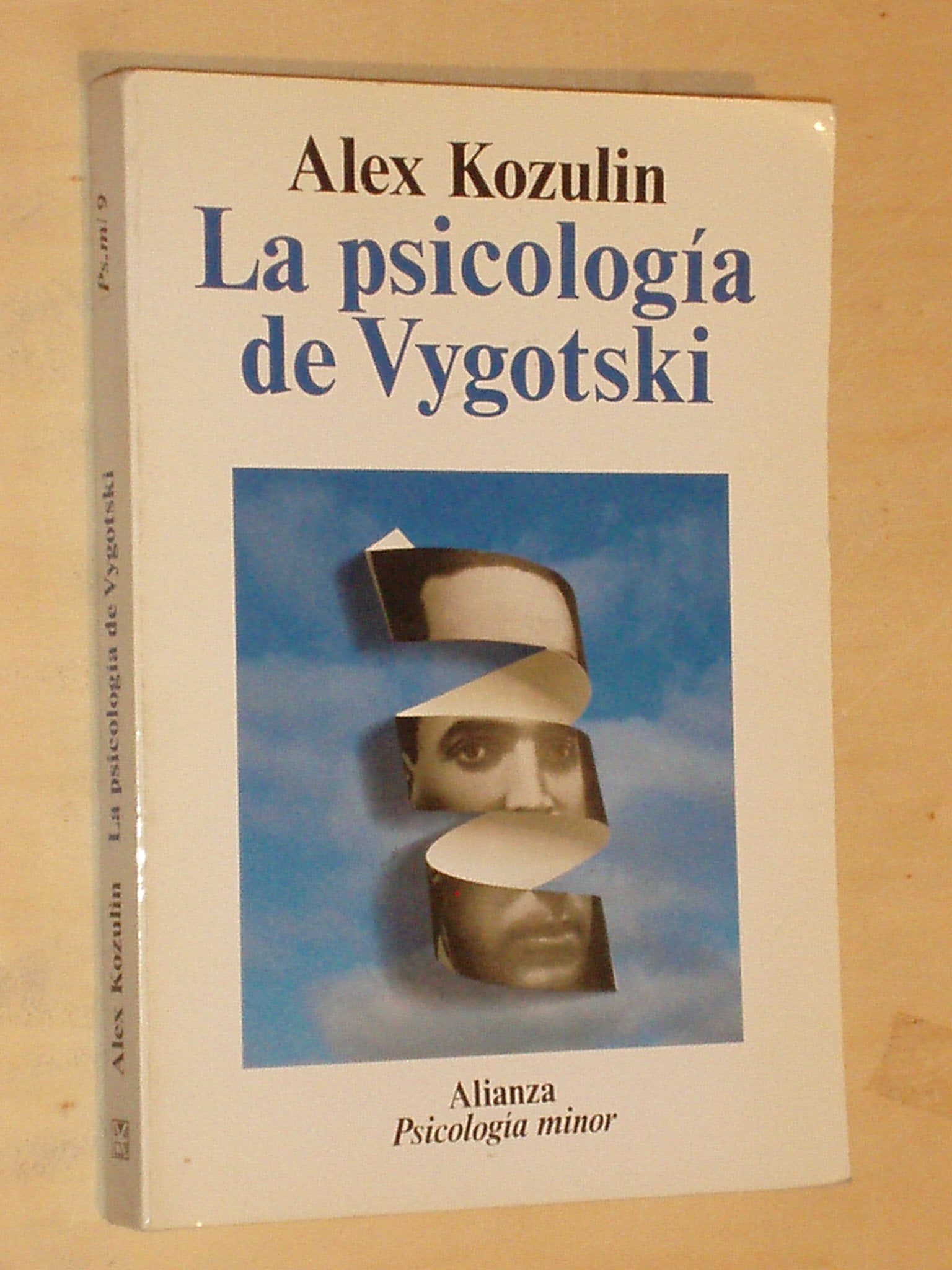 La psicologia de Vygotski/ The Psychology of Vygotski 9788420677095