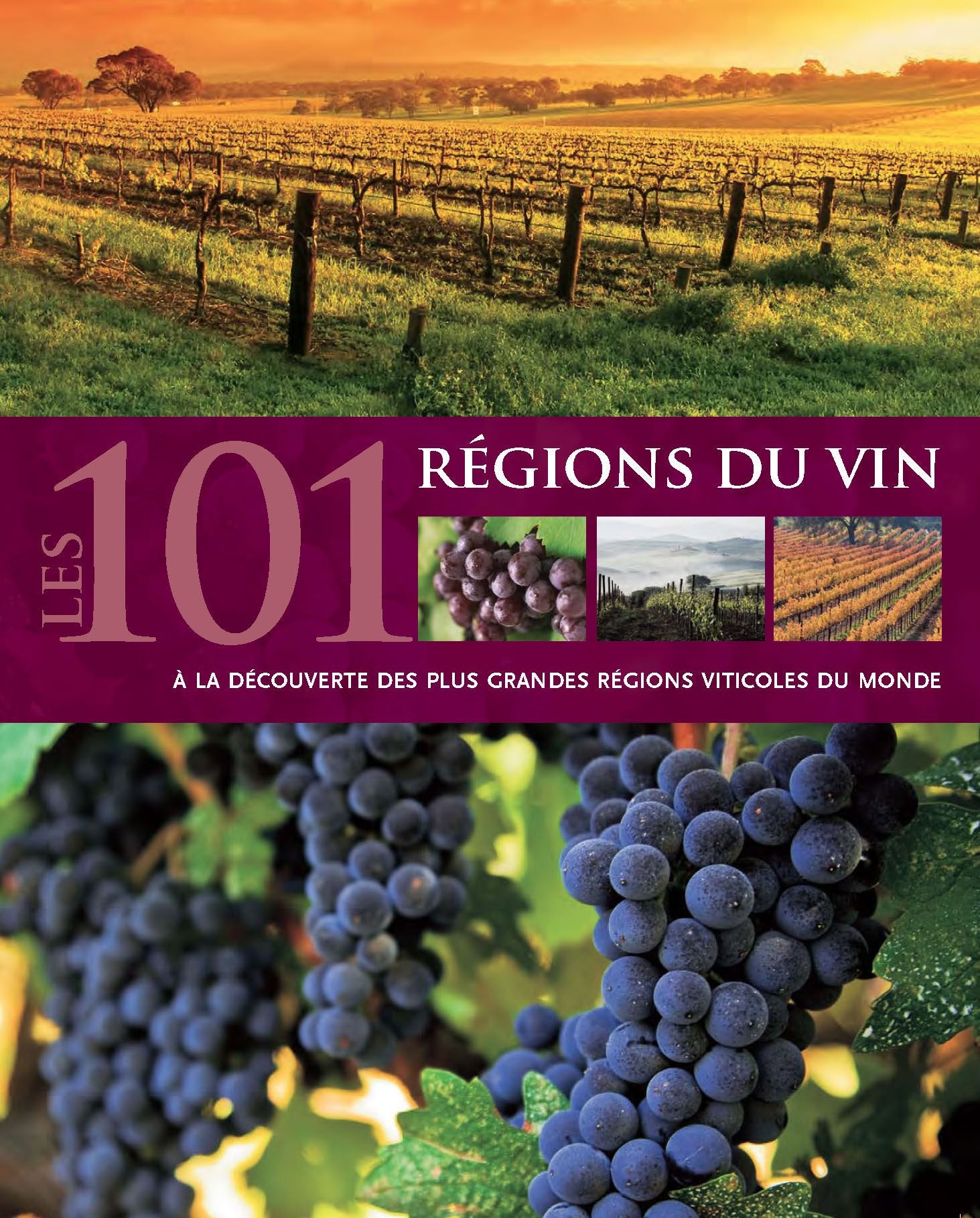 Les 101 régions du vin: A la découverte des plus grandes régions viticoles du monde 9781445442198