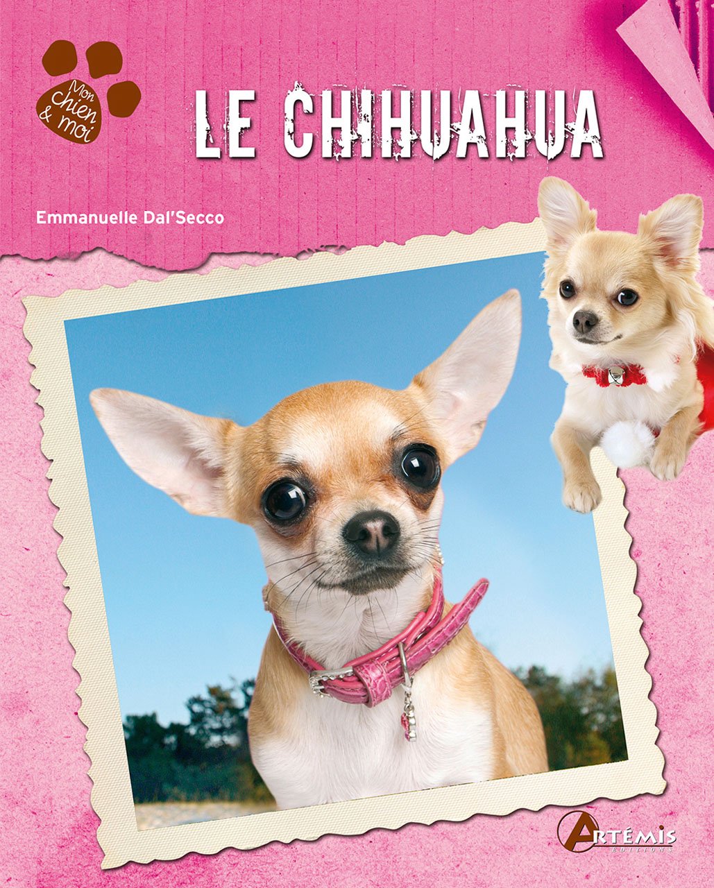 Le Chihuahua 9782816002522