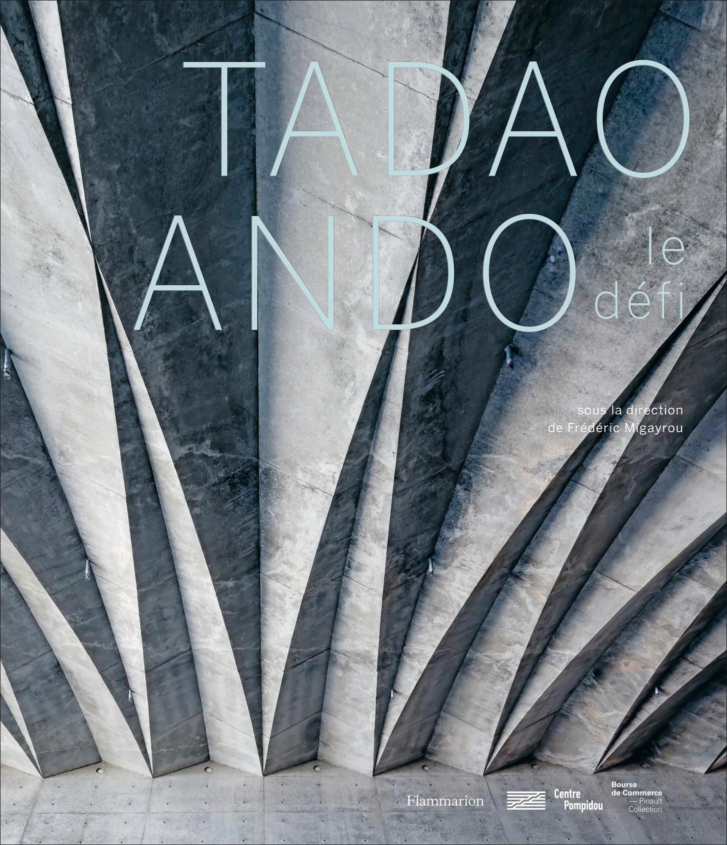 Tadao Ando: Le défi 9782081445772
