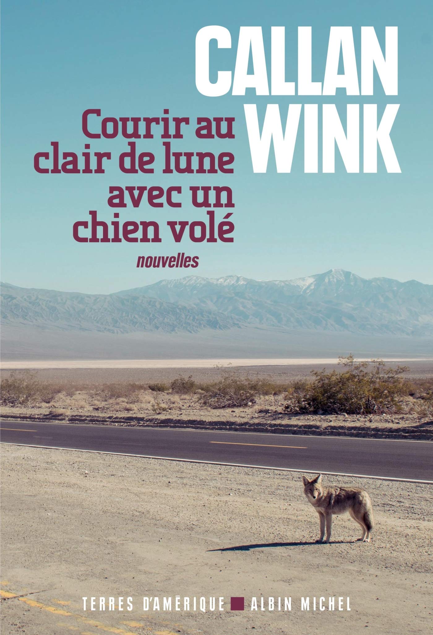 Courir au clair de lune avec un chien volé 9782226325815