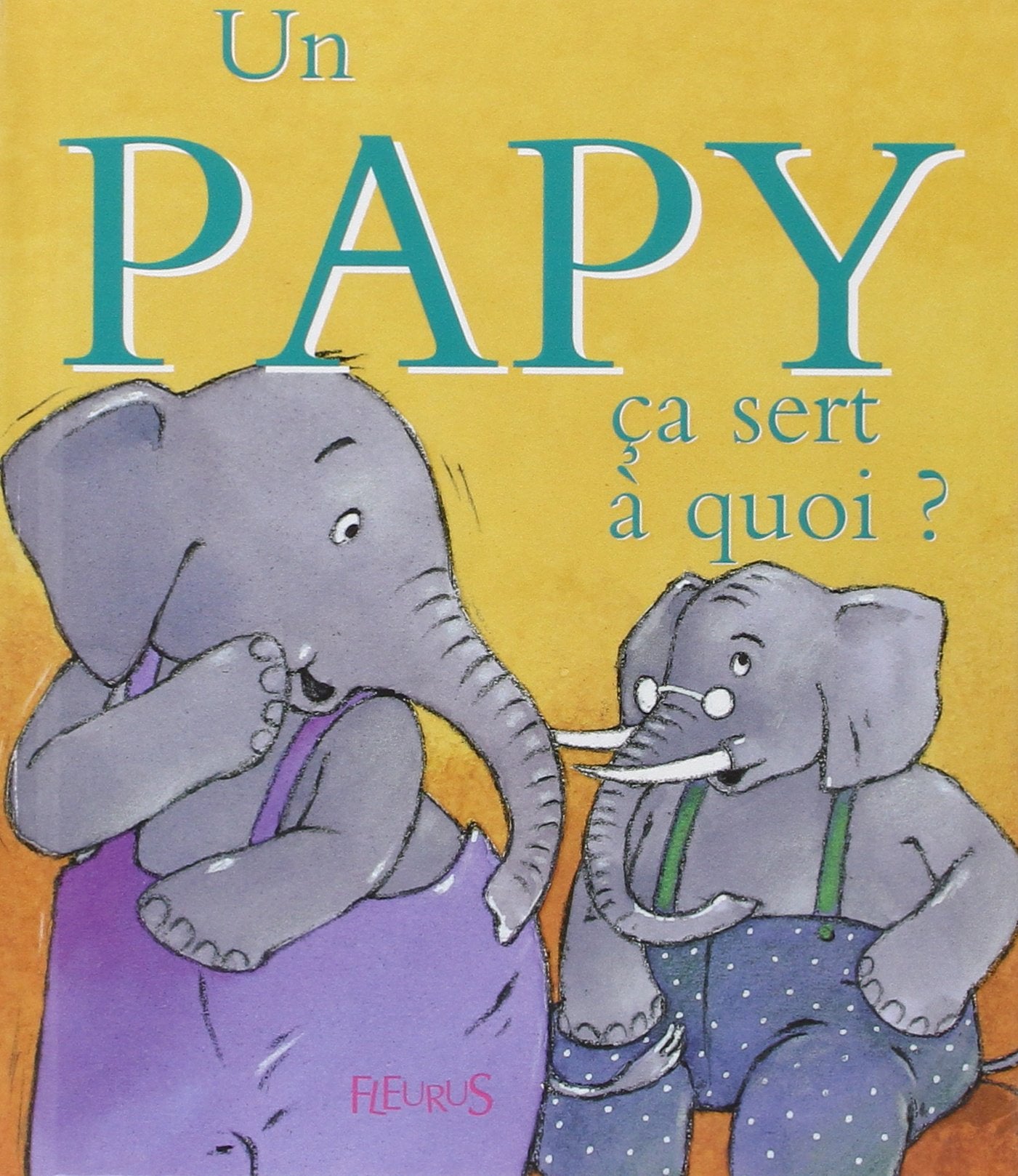 Un papy 9782215084594