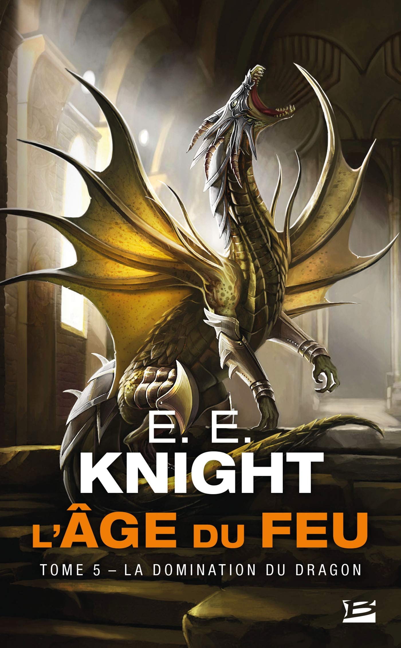 L'Âge du feu , Tome 5: La Domination du dragon 9782811215132