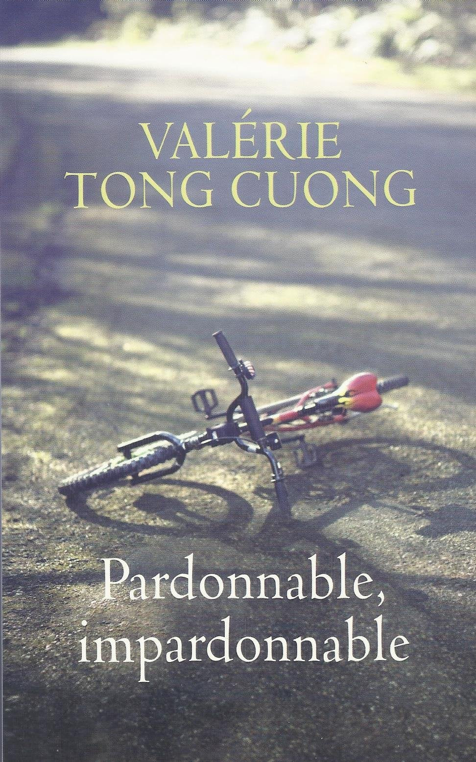 Pardonnable, impardonnable 9782844927729