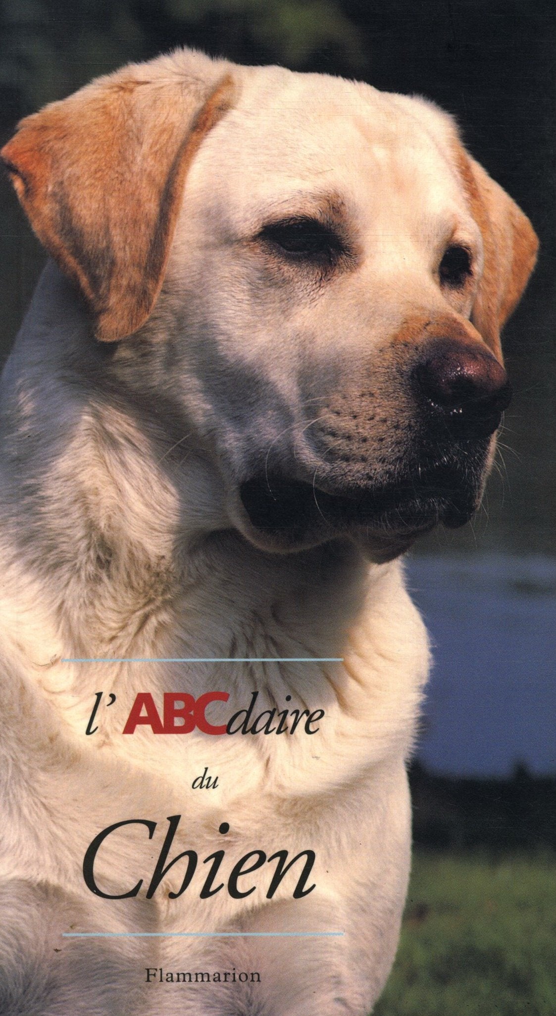L'ABCdaire du chien 9782080125637