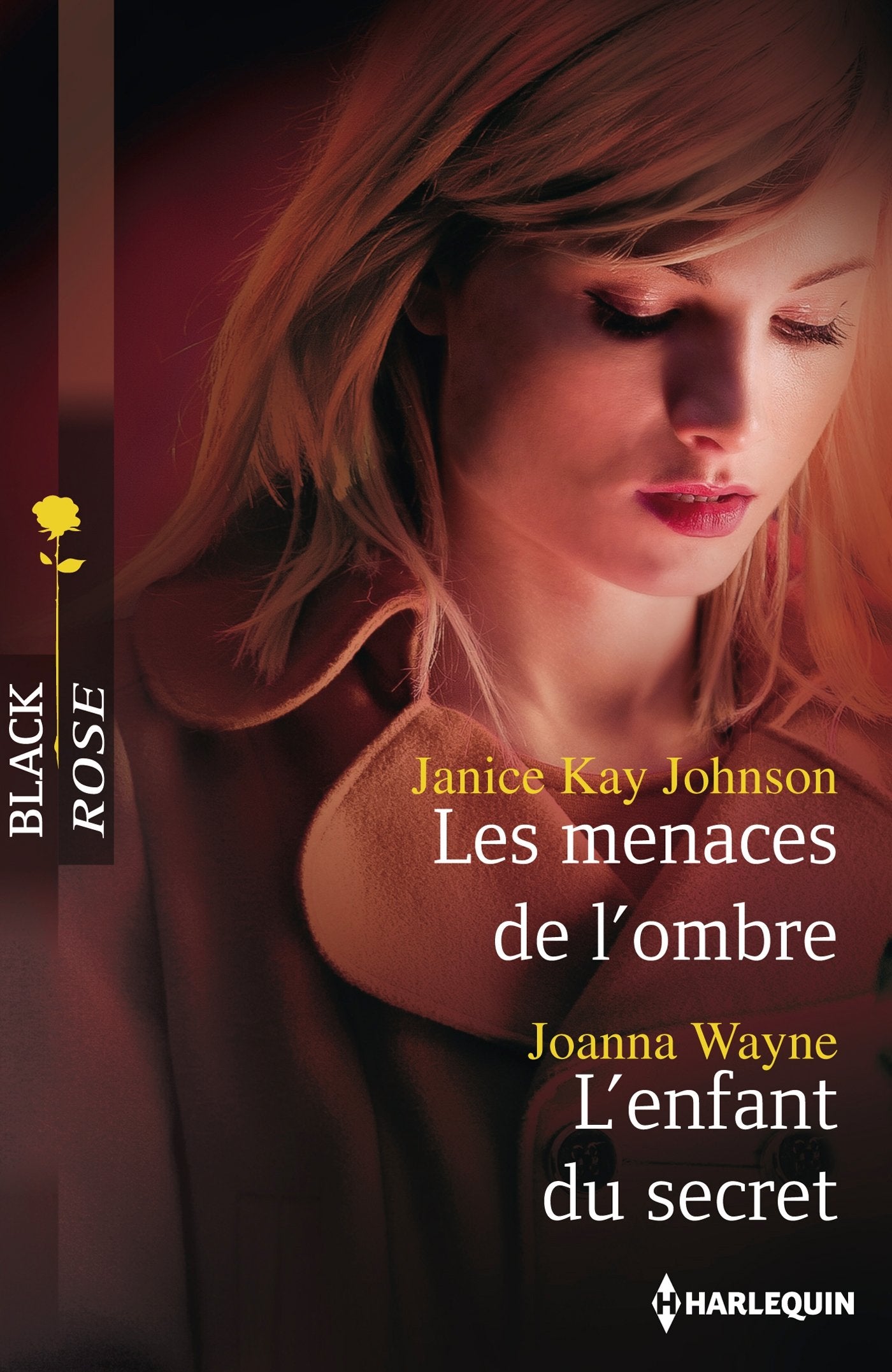 Les menaces de l'ombre ; L'enfant du secret 9782280280570