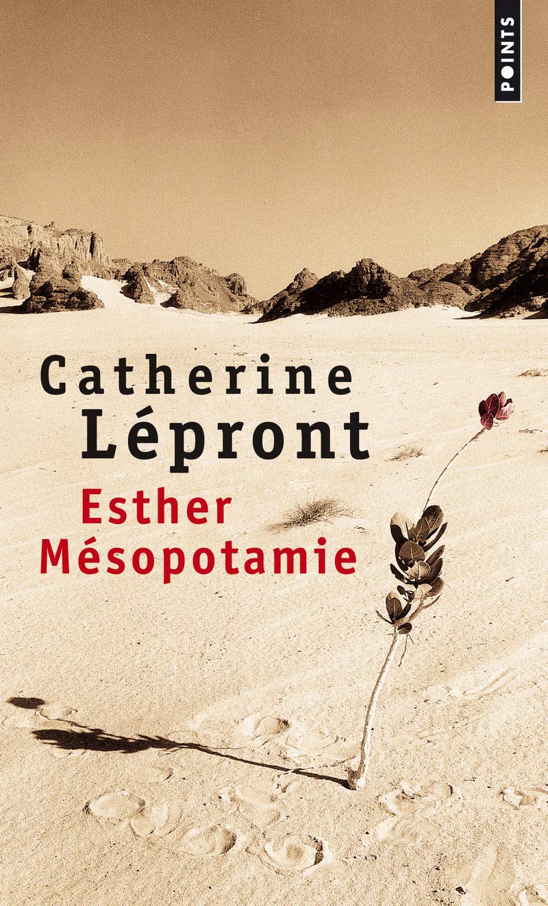 Esther Mésopotamie 9782757826539