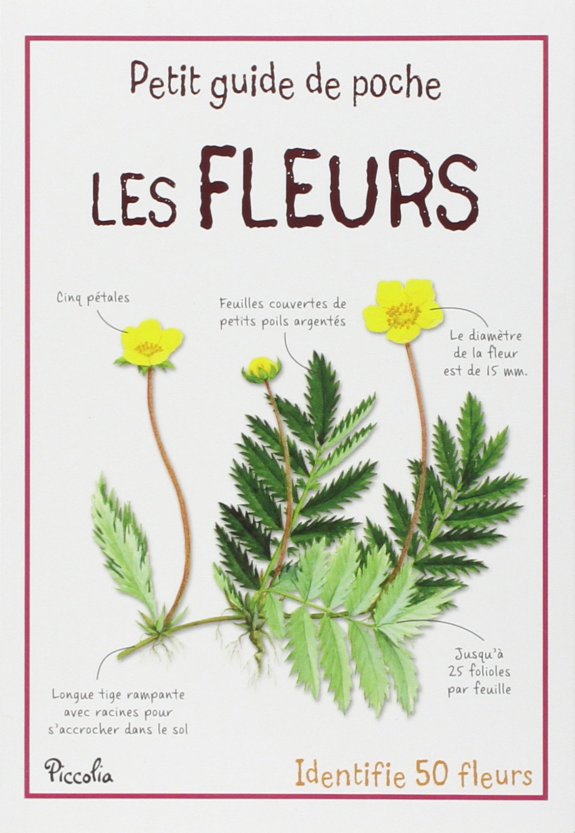Les fleurs 9782753020337