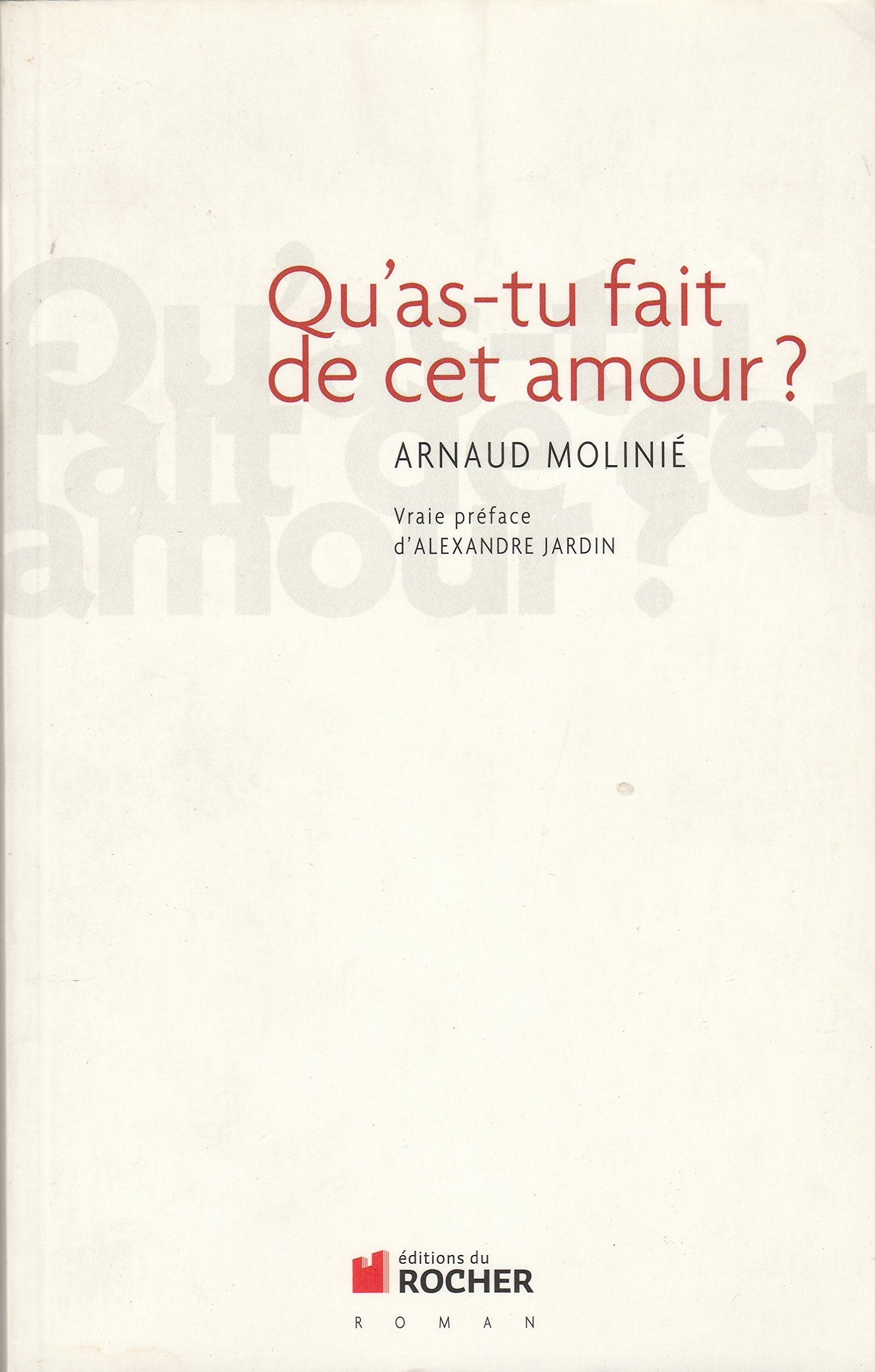 Qu'as-tu fait de cet amour ? 9782268068725