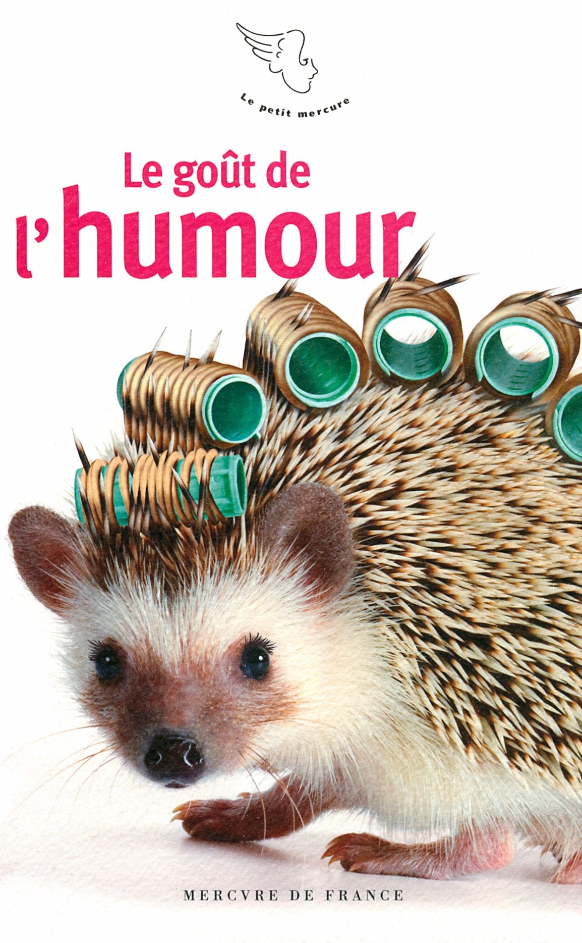 Le goût de l’humour 9782715242661