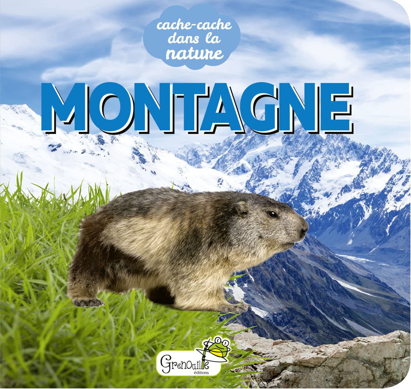 Montagne 9782366537536
