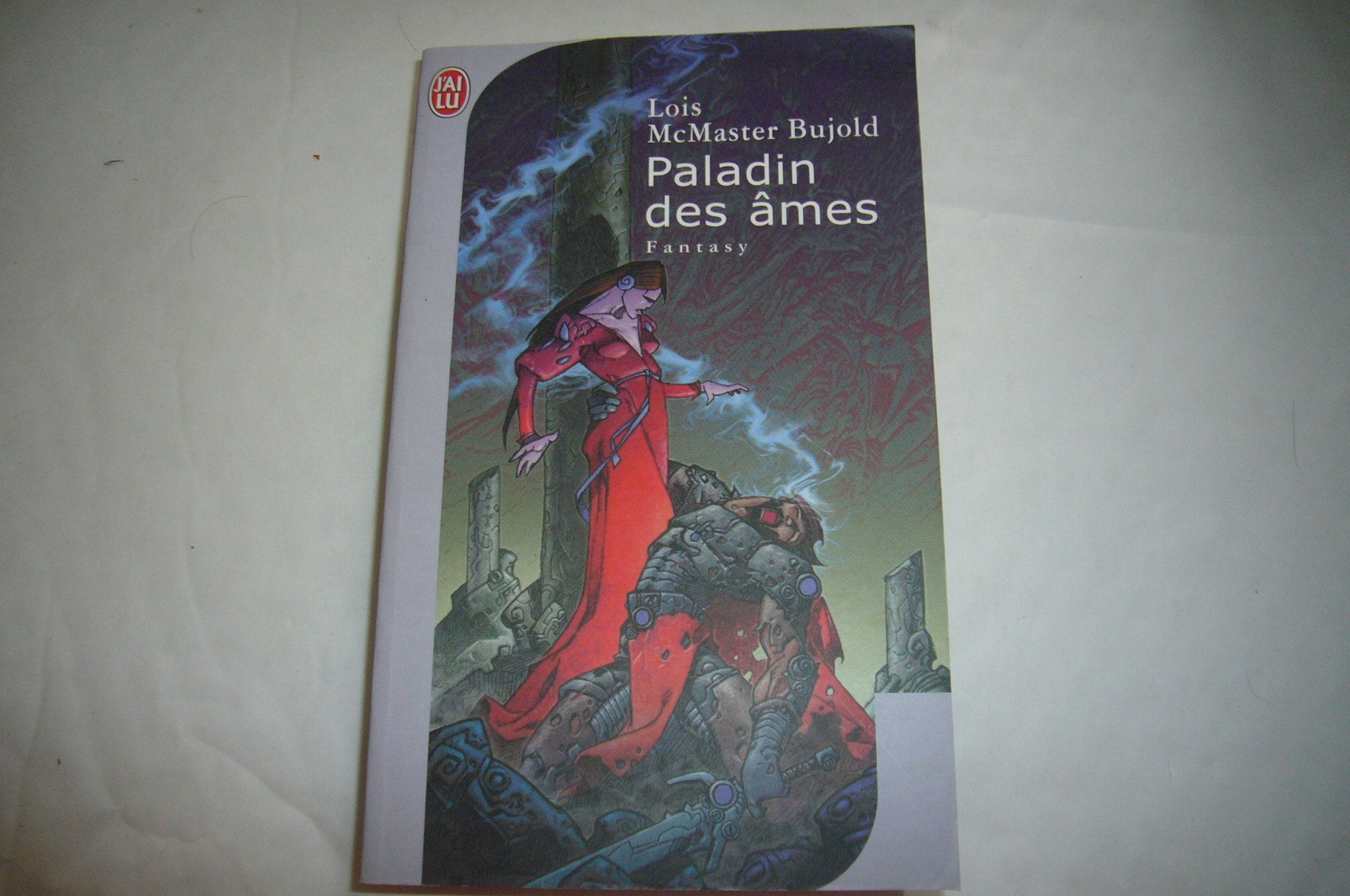 Paladin des âmes 9782290354148