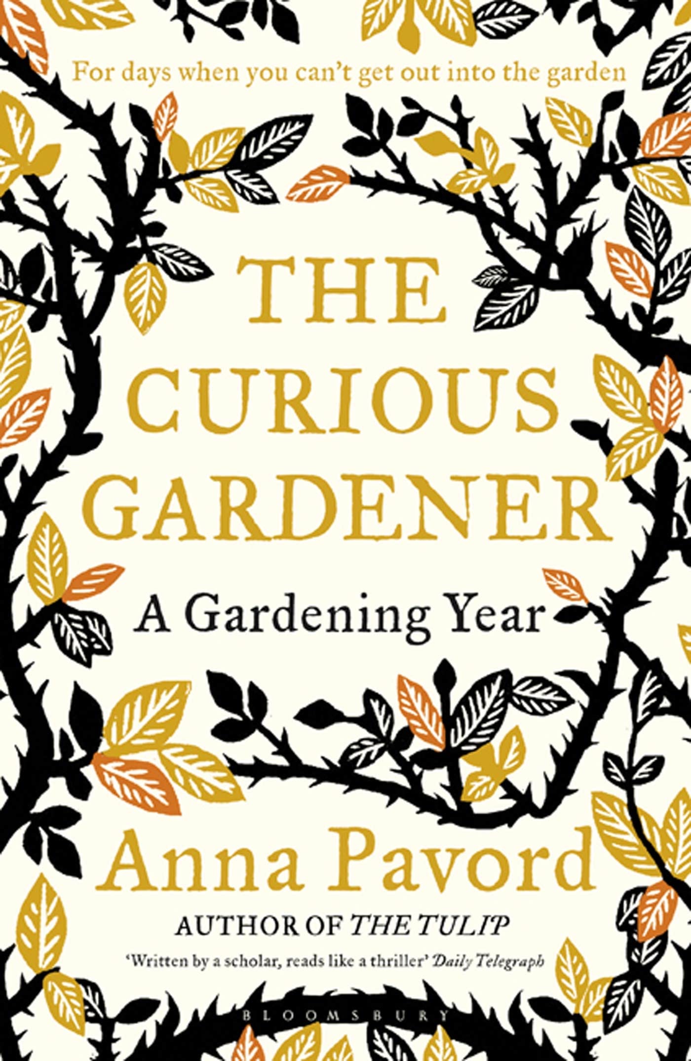 The Curious Gardener 9781408808887