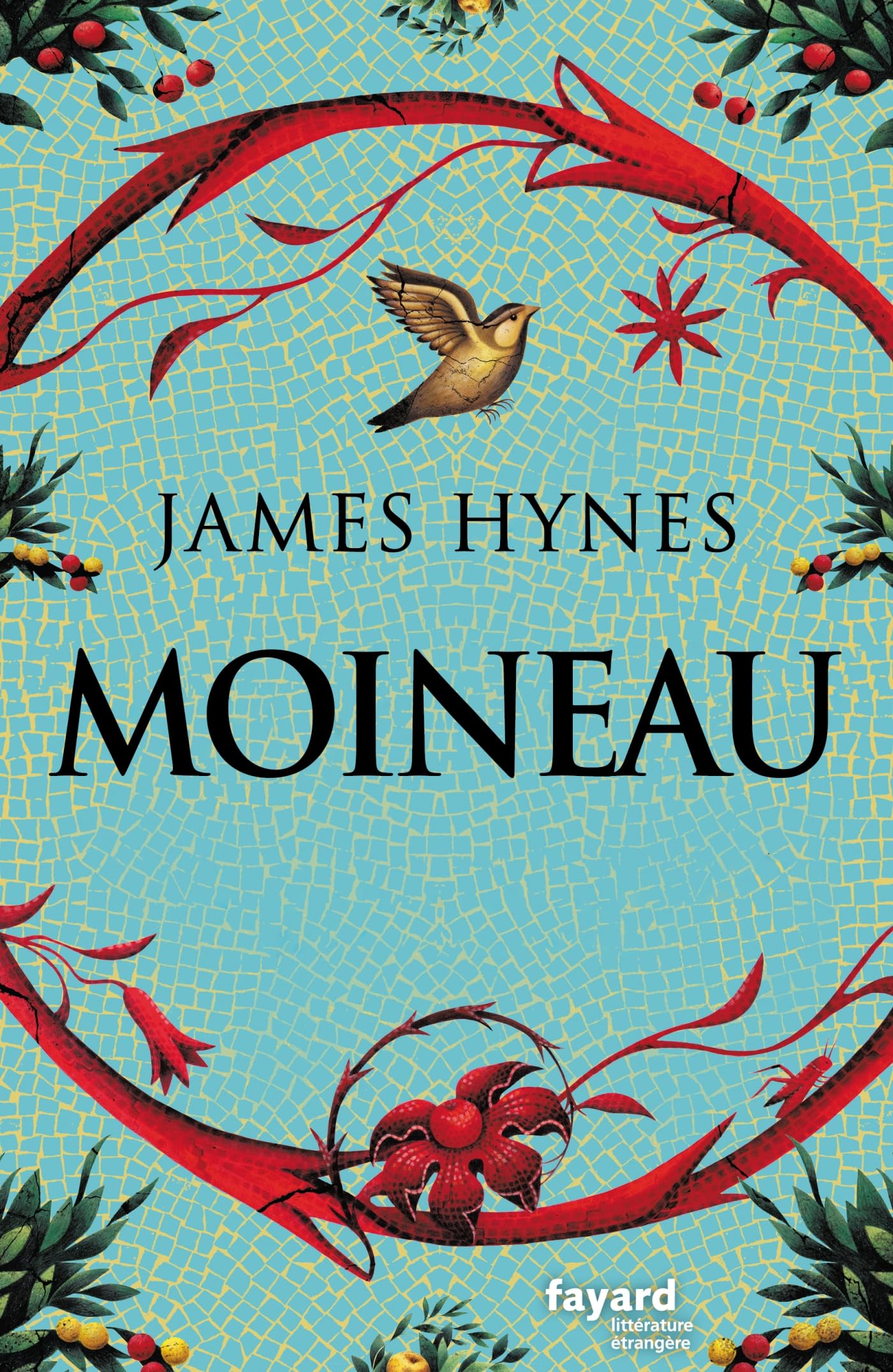 Moineau 9782213726304