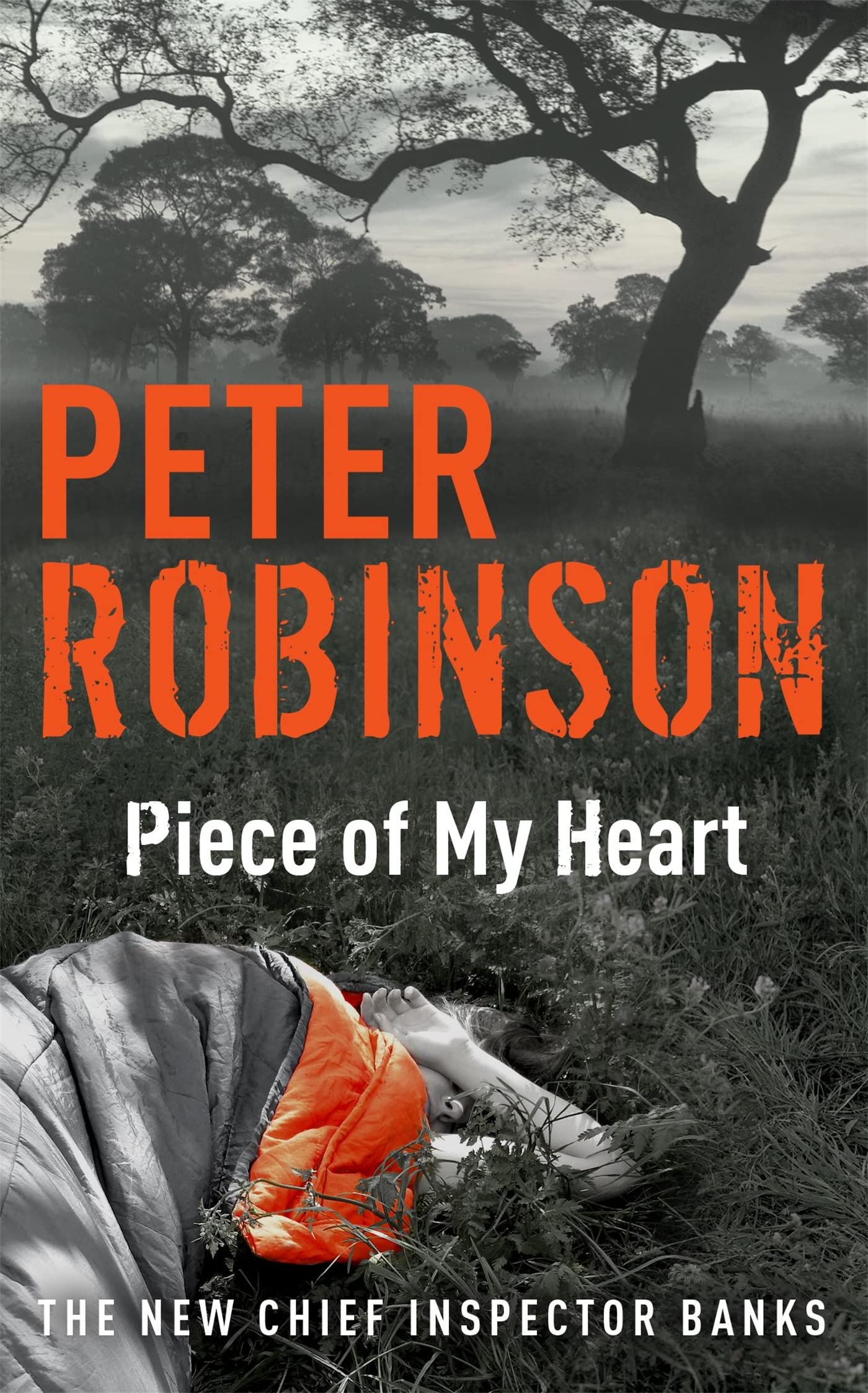 Piece of My Heart: The 16th DCI Banks novel from The Master of the Police Procedural (DCI Banks 16) 9780340836880