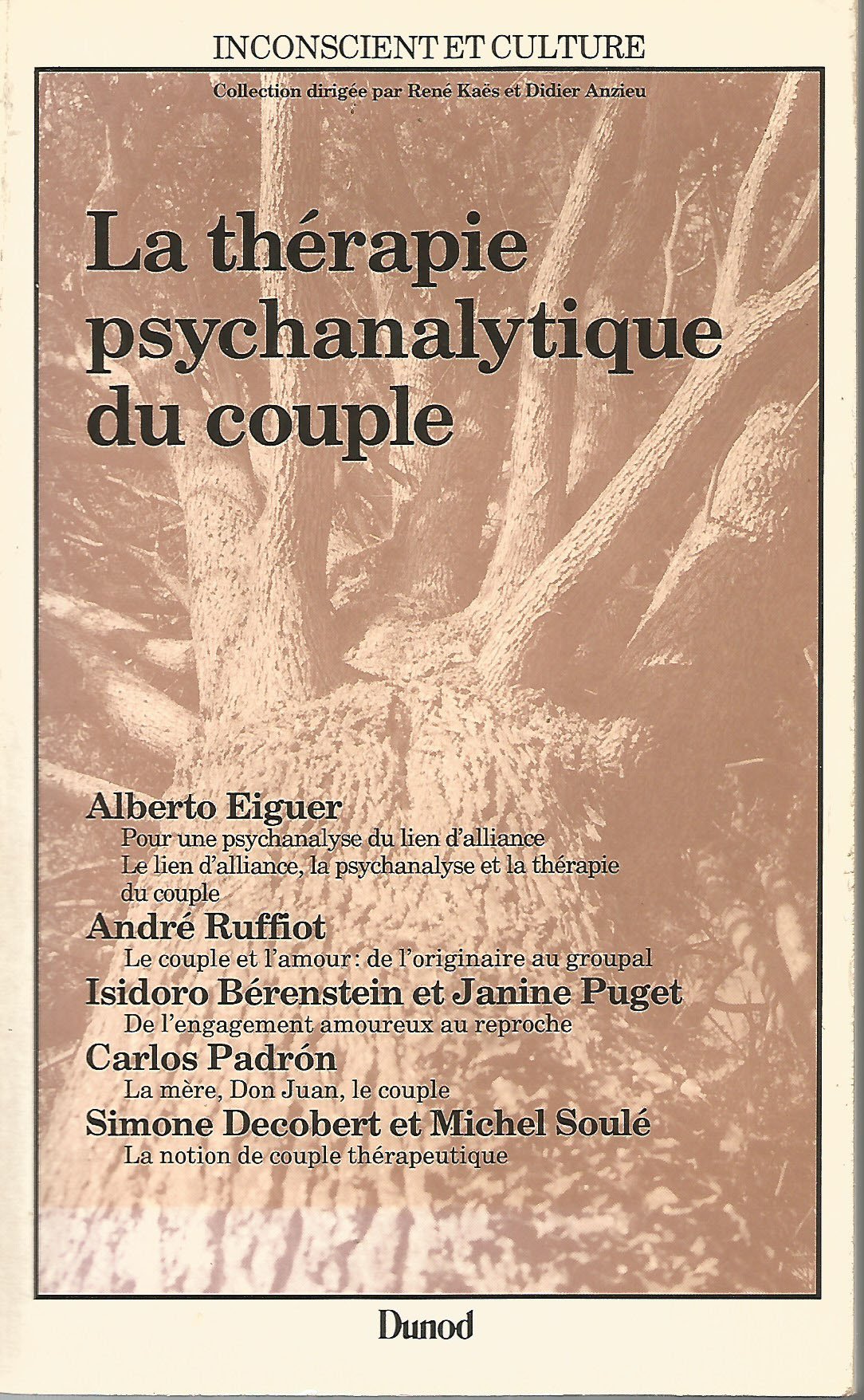 La thérapie psychanalytique du couple 9782040156428