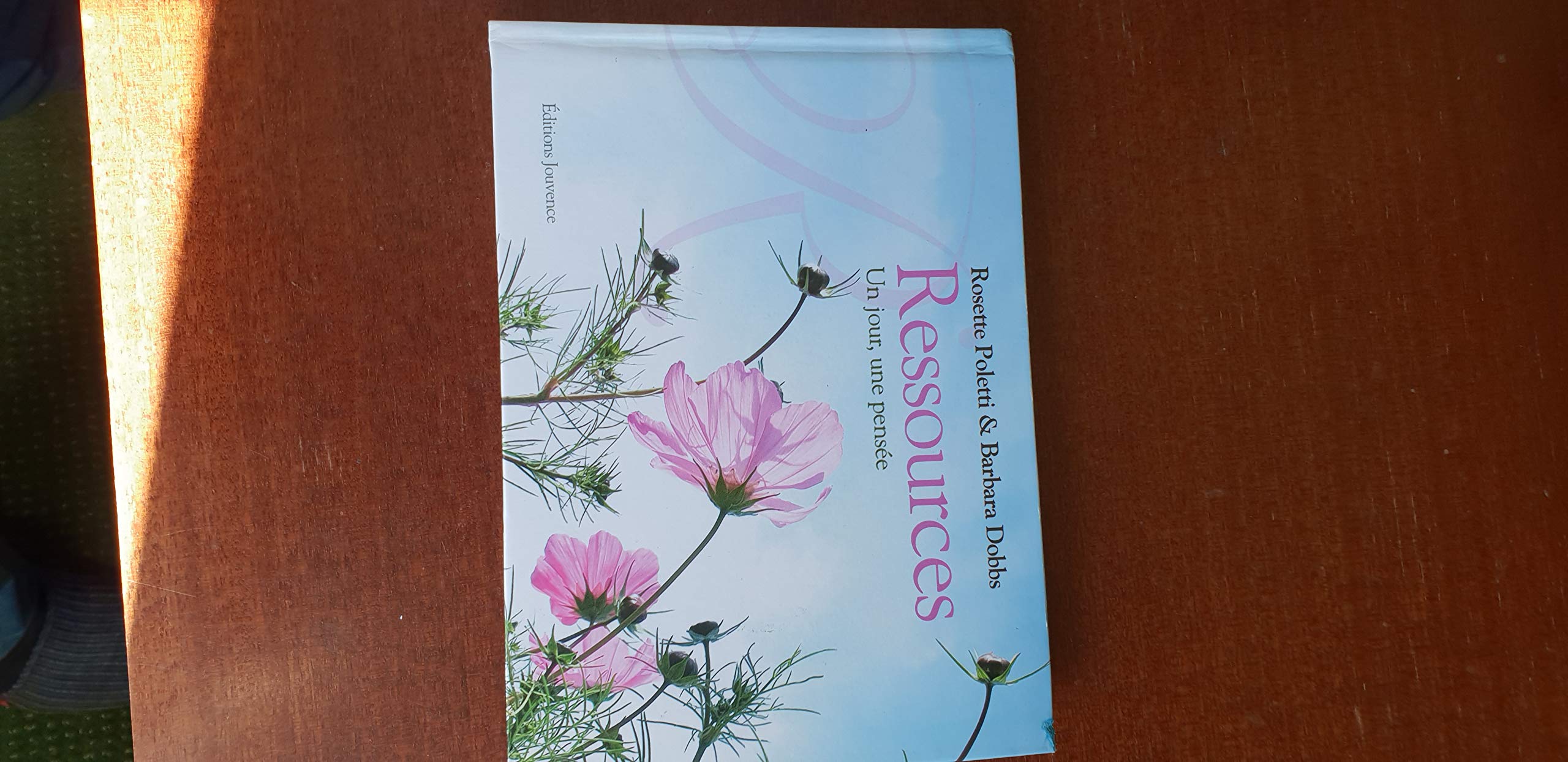 Ressources: Un jour, une pensée 9782883535053